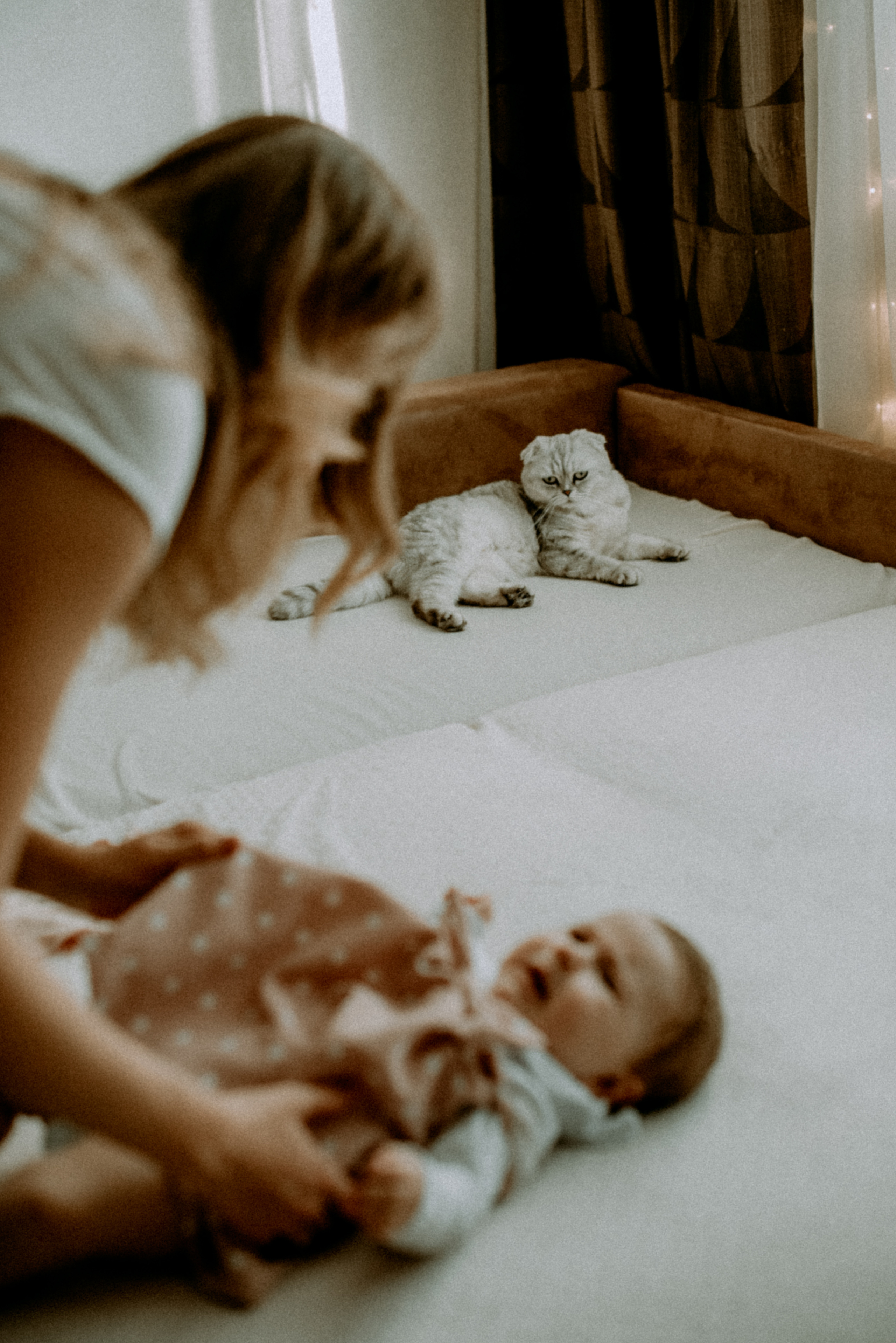 Катя, Дима, Полина. Свадебный фотограф, фотограф беременности Дарья Доценко