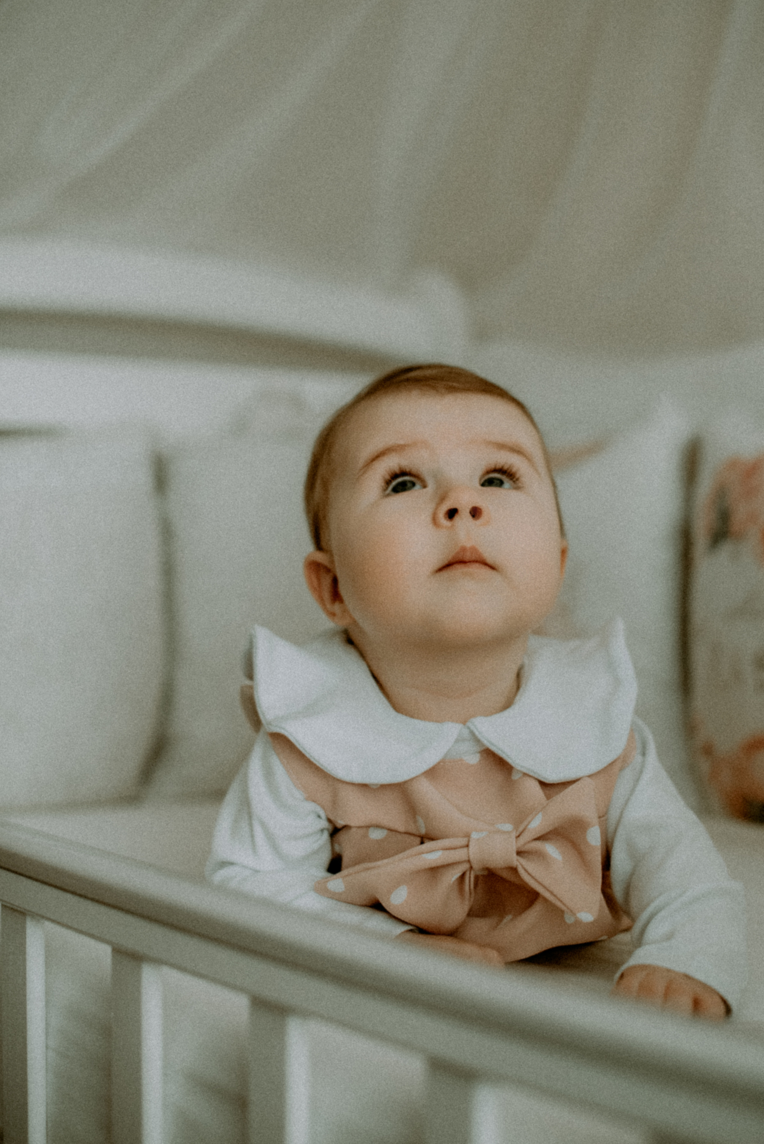 Катя, Дима, Полина. Свадебный фотограф, фотограф беременности Дарья Доценко