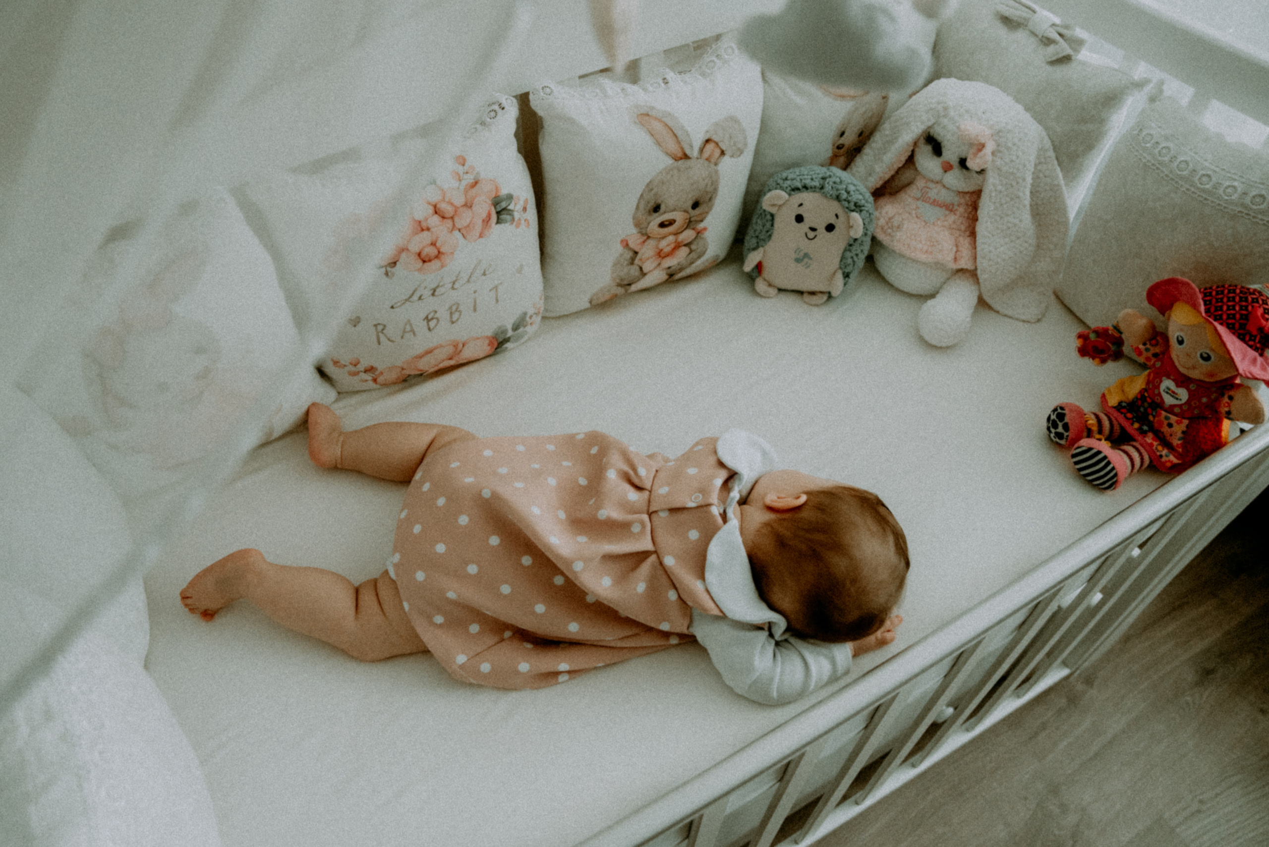 Катя, Дима, Полина. Свадебный фотограф, фотограф беременности Дарья Доценко