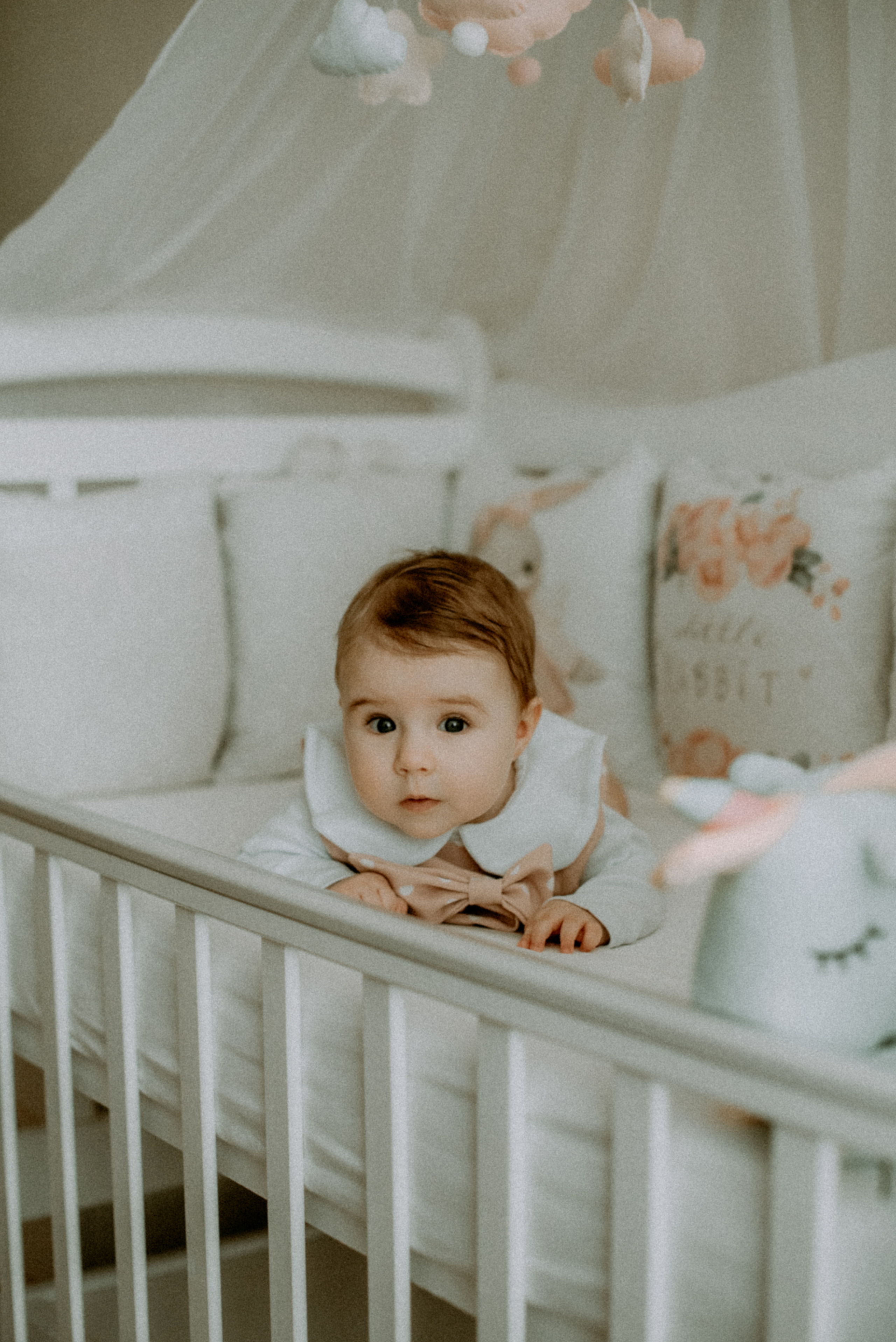 Катя, Дима, Полина. Свадебный фотограф, фотограф беременности Дарья Доценко