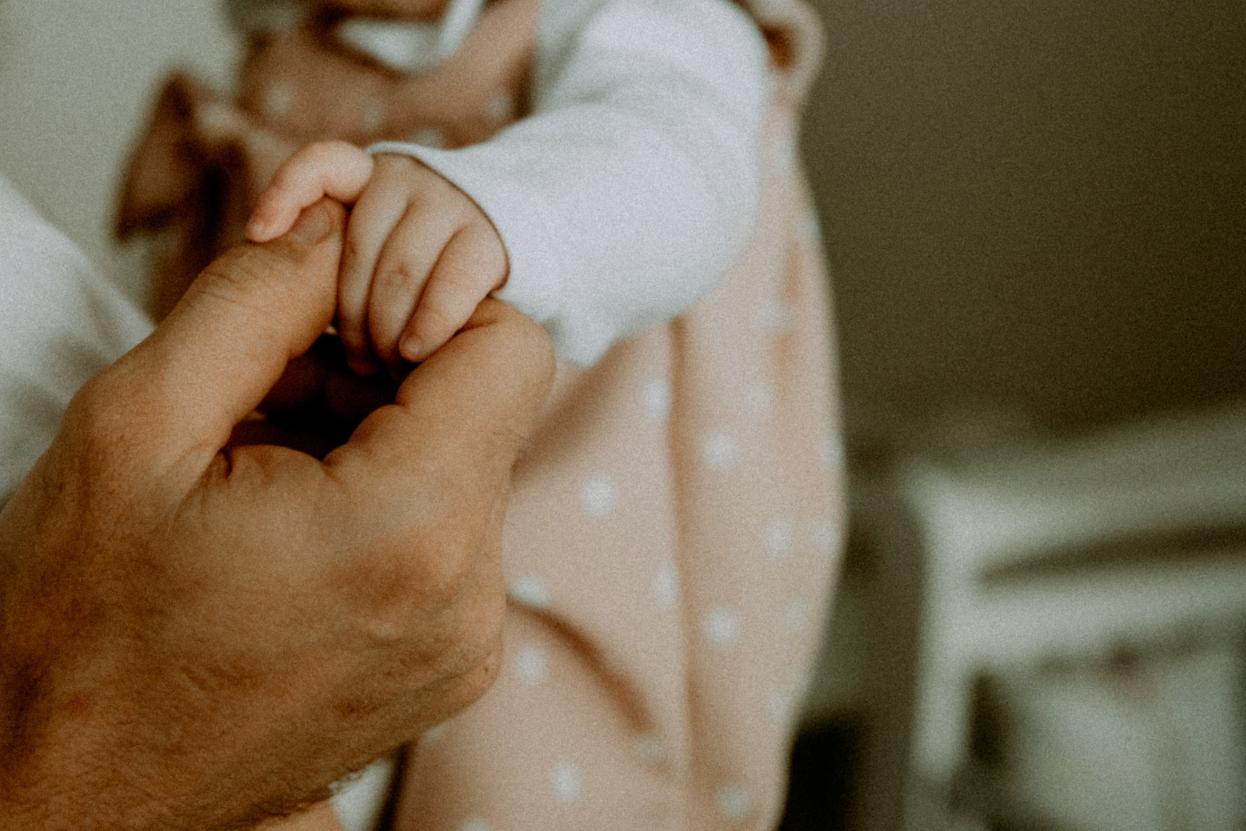 Катя, Дима, Полина. Свадебный фотограф, фотограф беременности Дарья Доценко