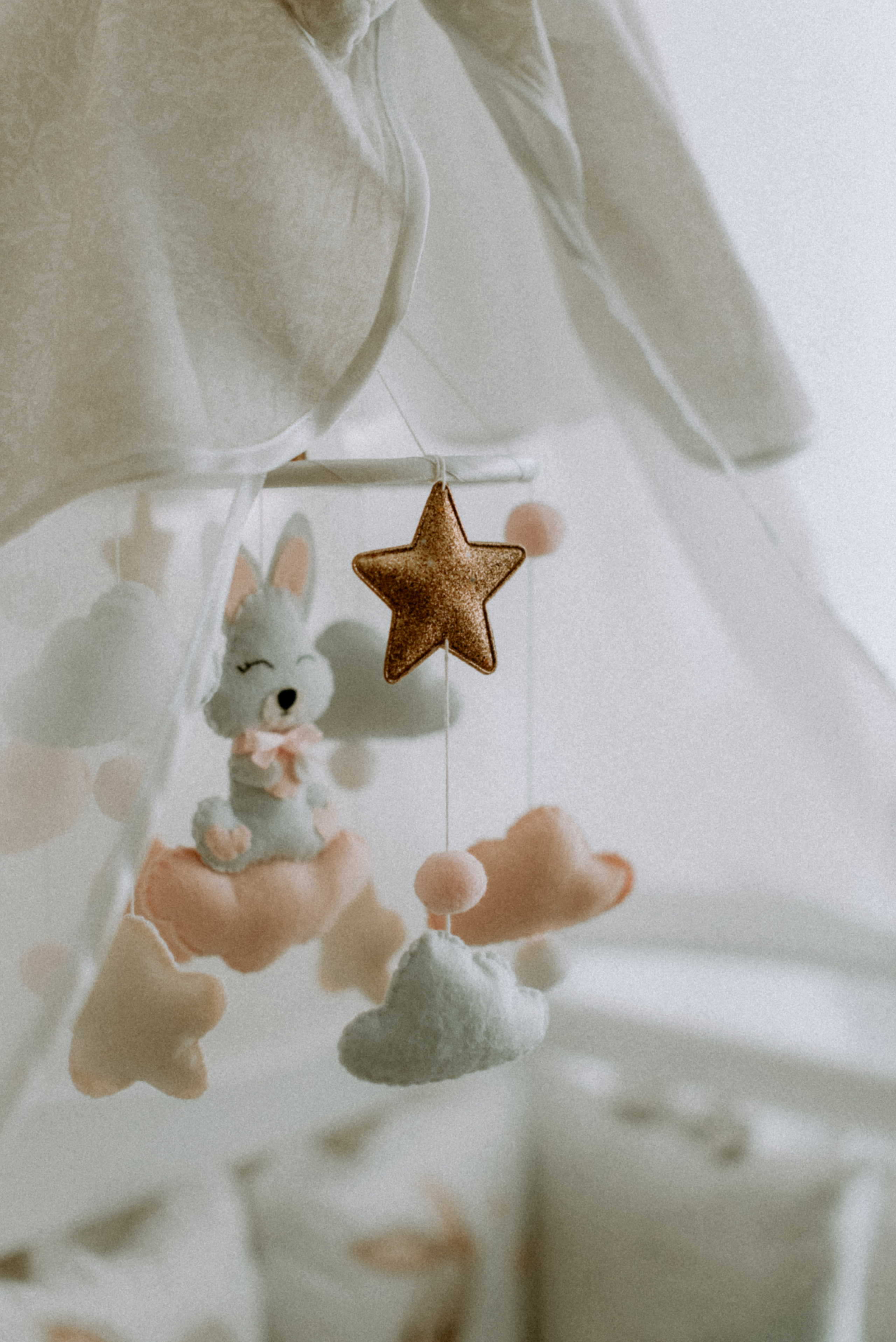 Катя, Дима, Полина. Свадебный фотограф, фотограф беременности Дарья Доценко