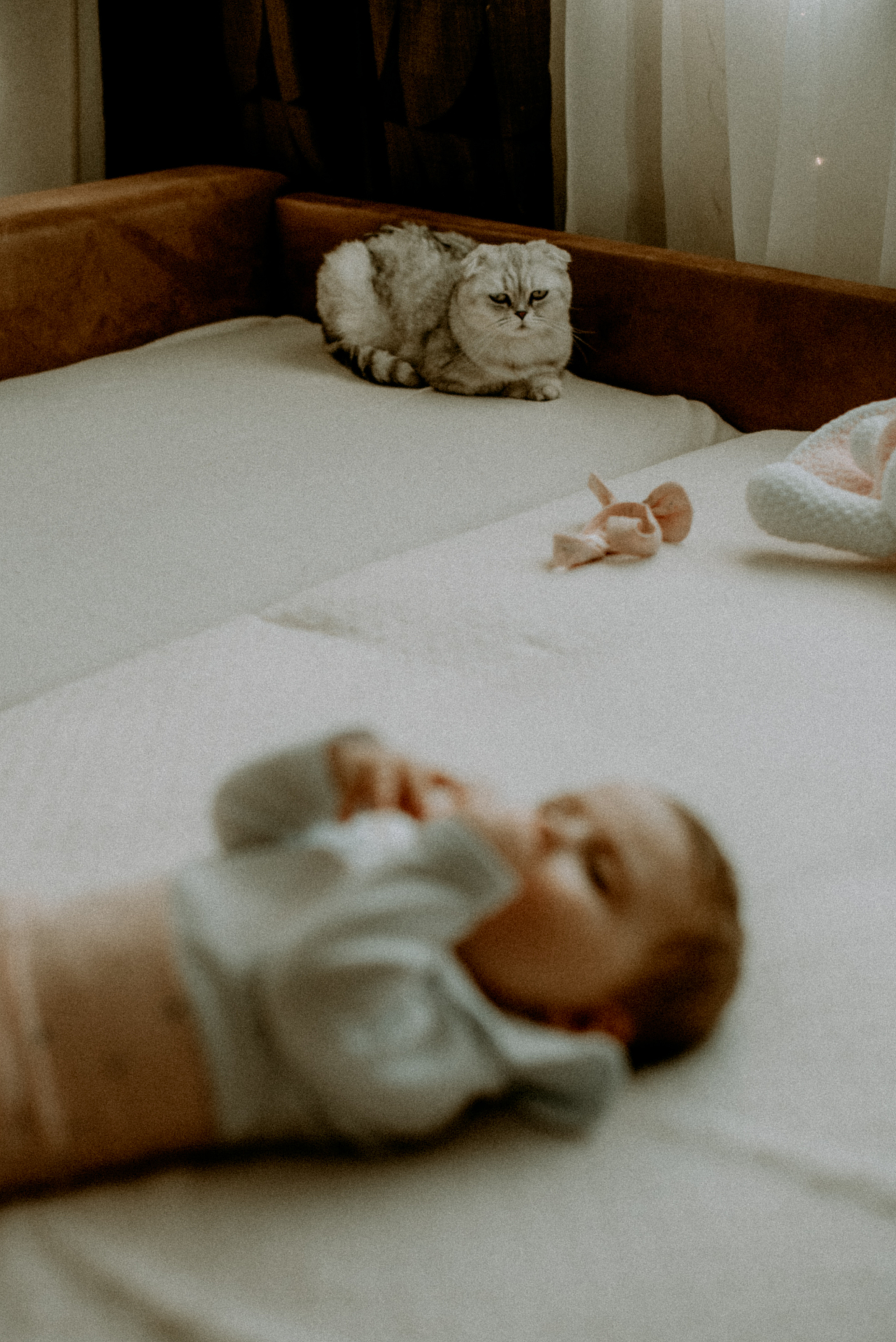 Катя, Дима, Полина. Свадебный фотограф, фотограф беременности Дарья Доценко