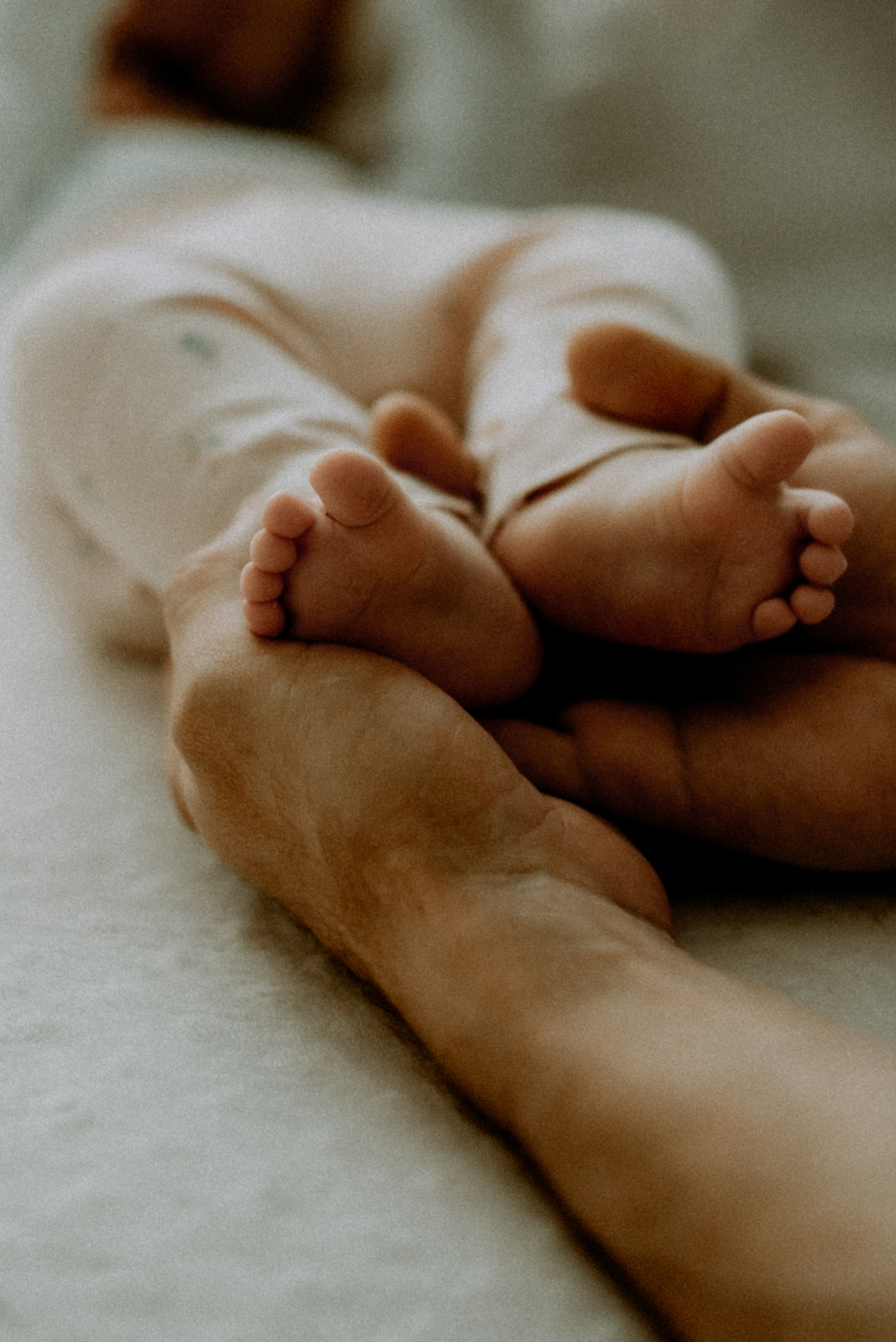 Катя, Дима, Полина. Свадебный фотограф, фотограф беременности Дарья Доценко