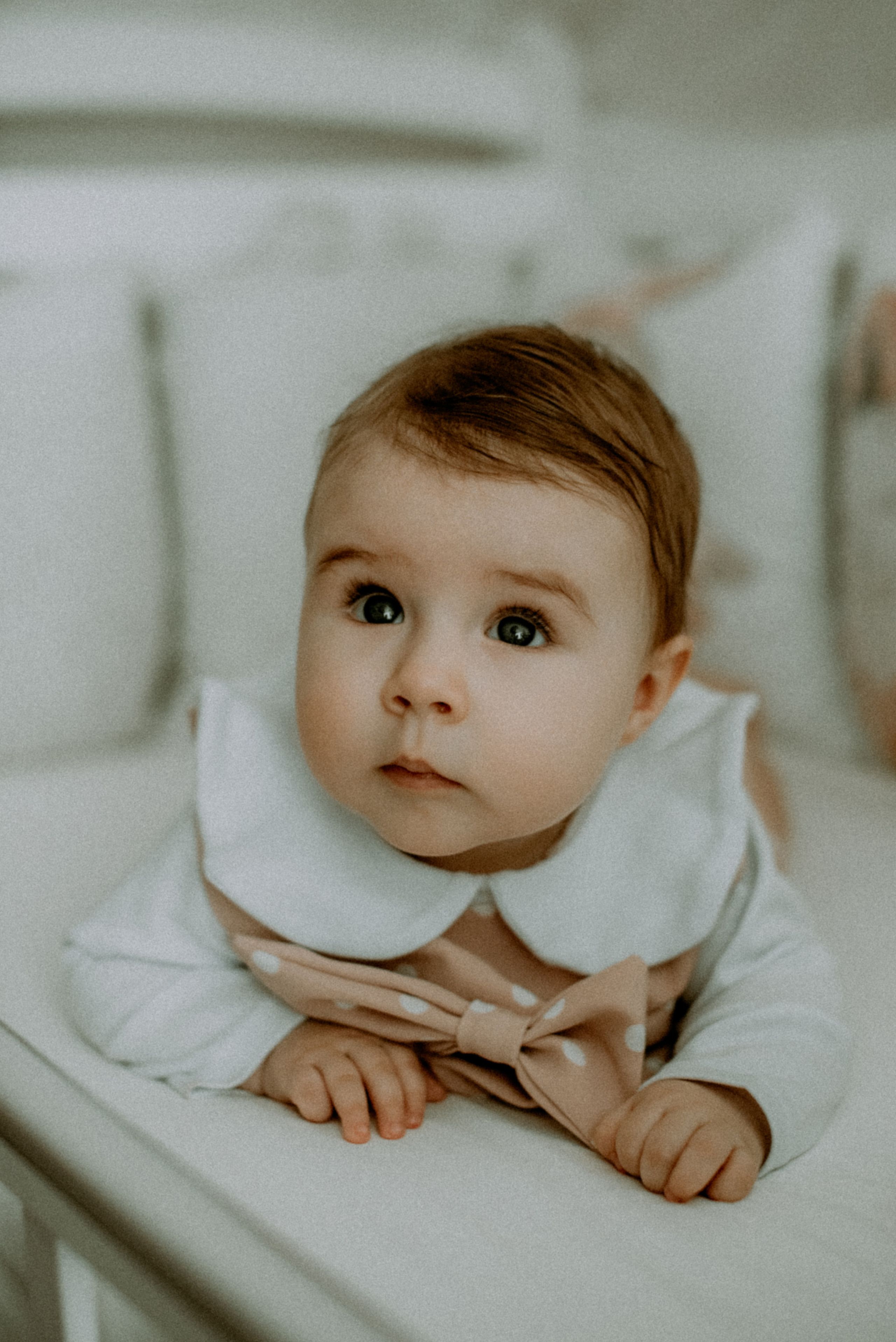 Катя, Дима, Полина. Свадебный фотограф, фотограф беременности Дарья Доценко