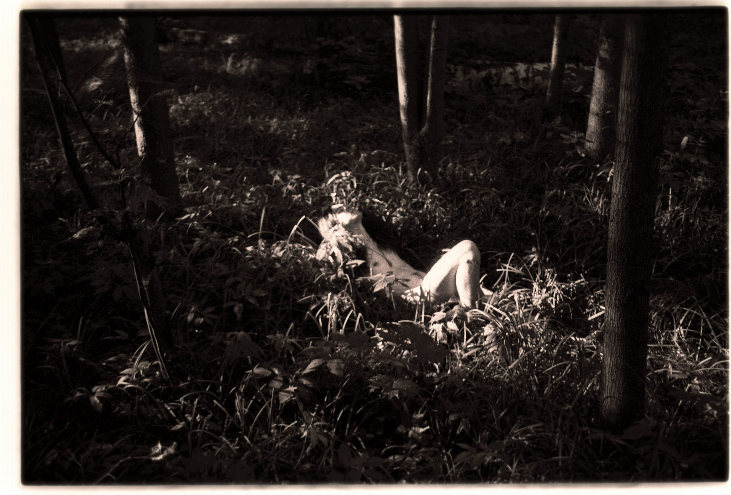 Лесная серия. Kirill Gribov