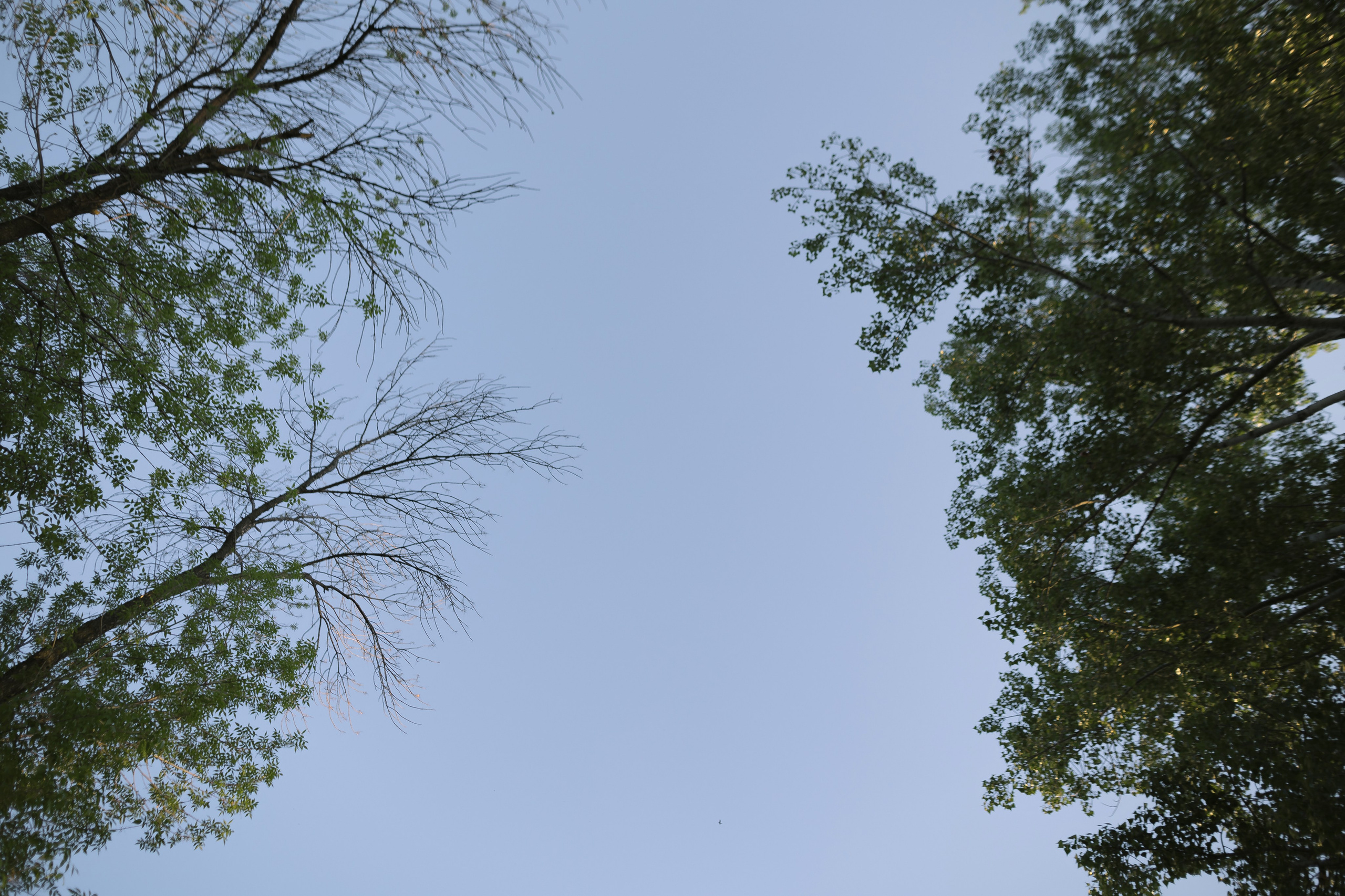 Илья и Полина. Свадебный и семейный фотограф в Самаре Посконнова Анна