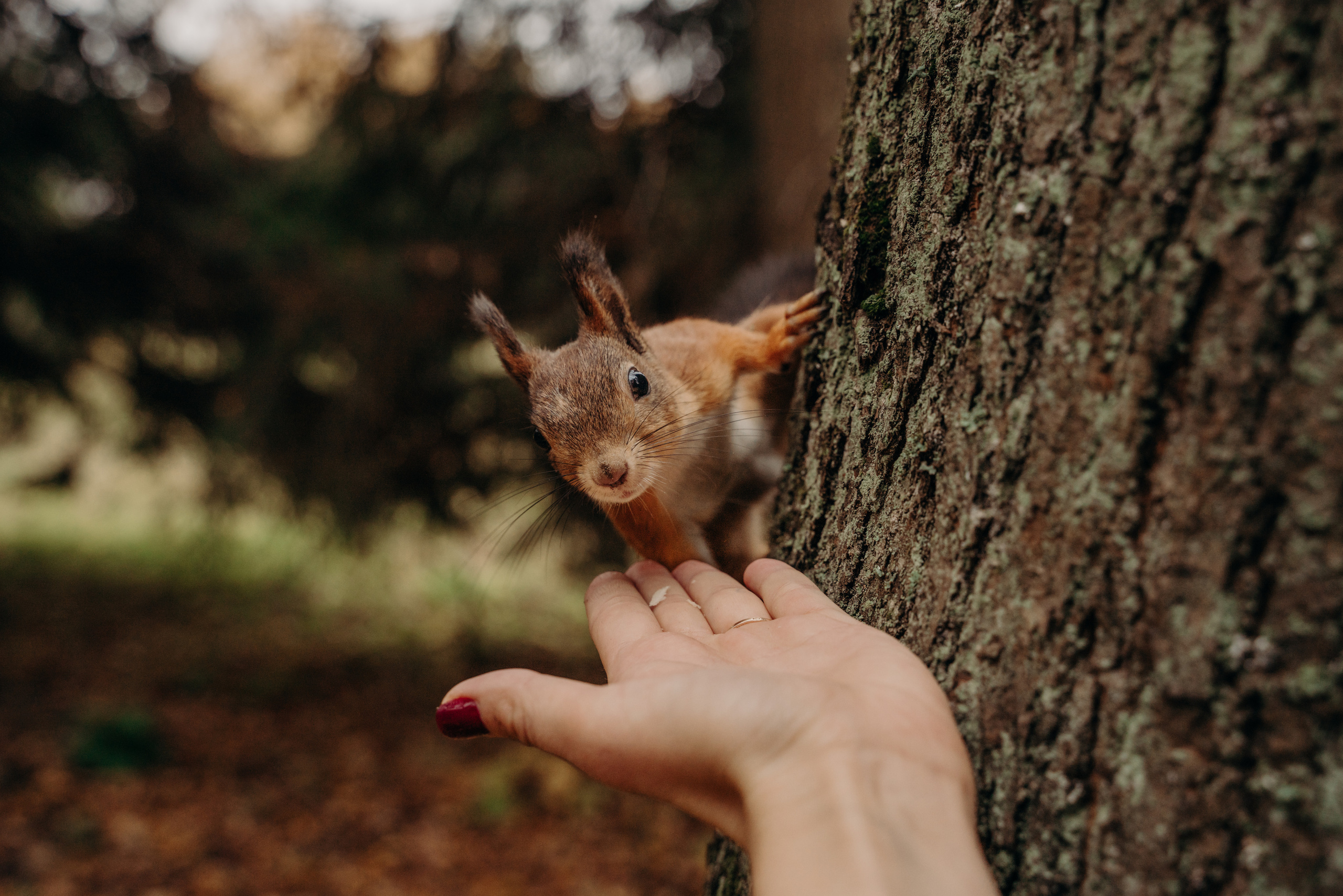 …. Фотограф в Санкт-Петербурге