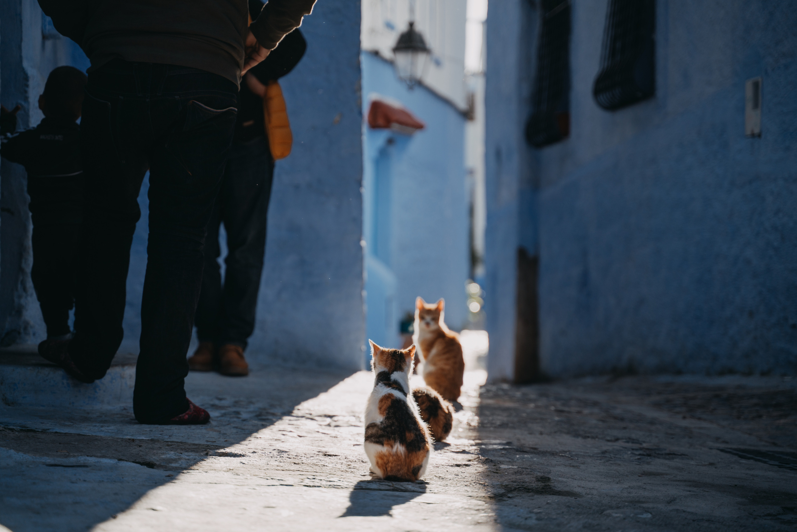 Morocco. Фотограф в Санкт-Петербурге