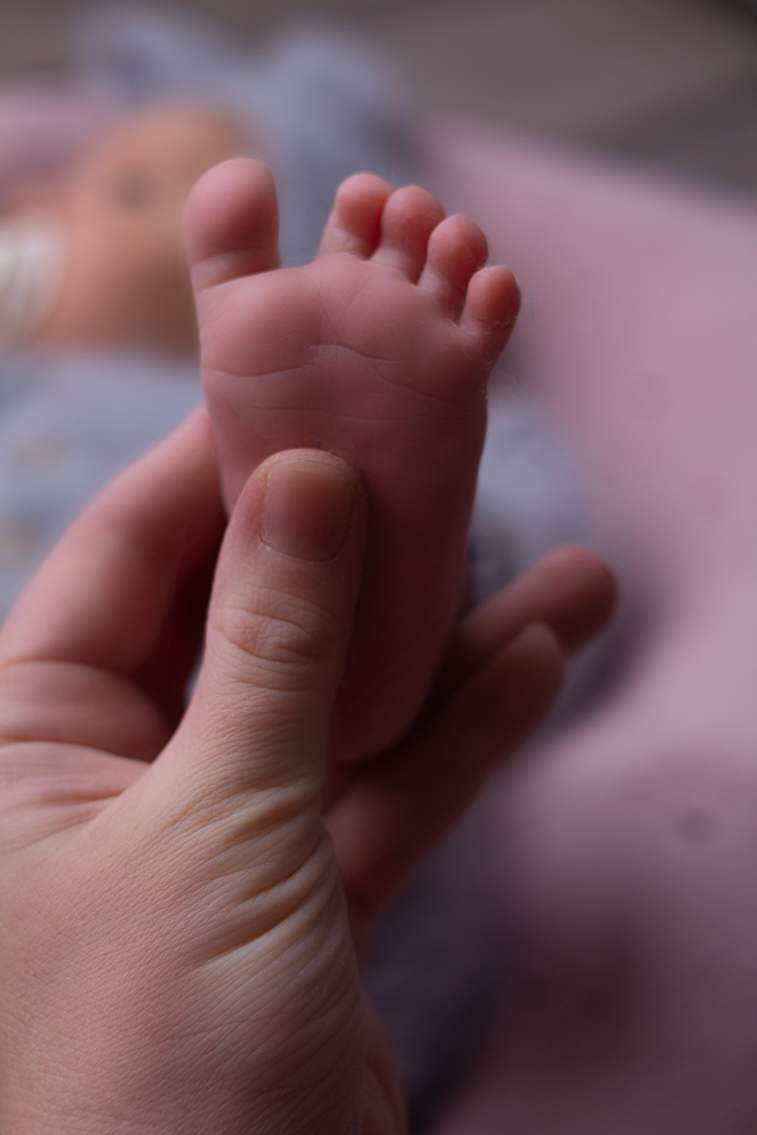 Первый кадр | newborn фотограф | Всеволожск