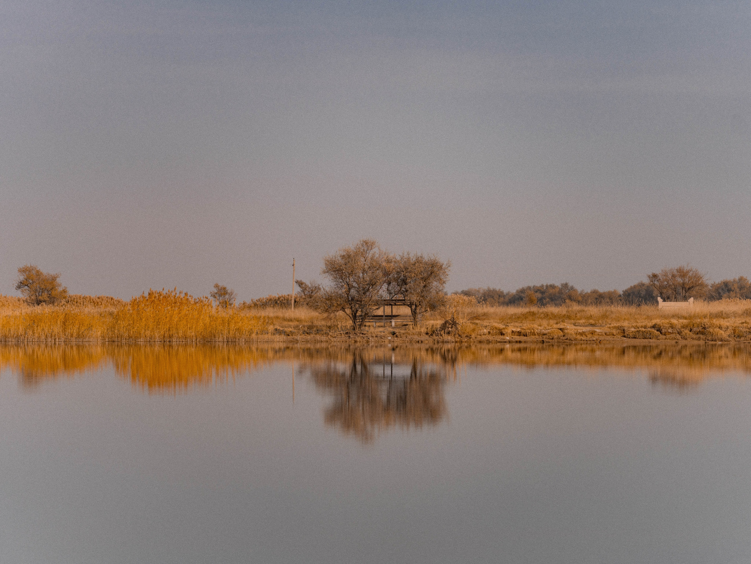 Визуальный дневник. Репортажный фотограф в Алматы Цой Сергей
