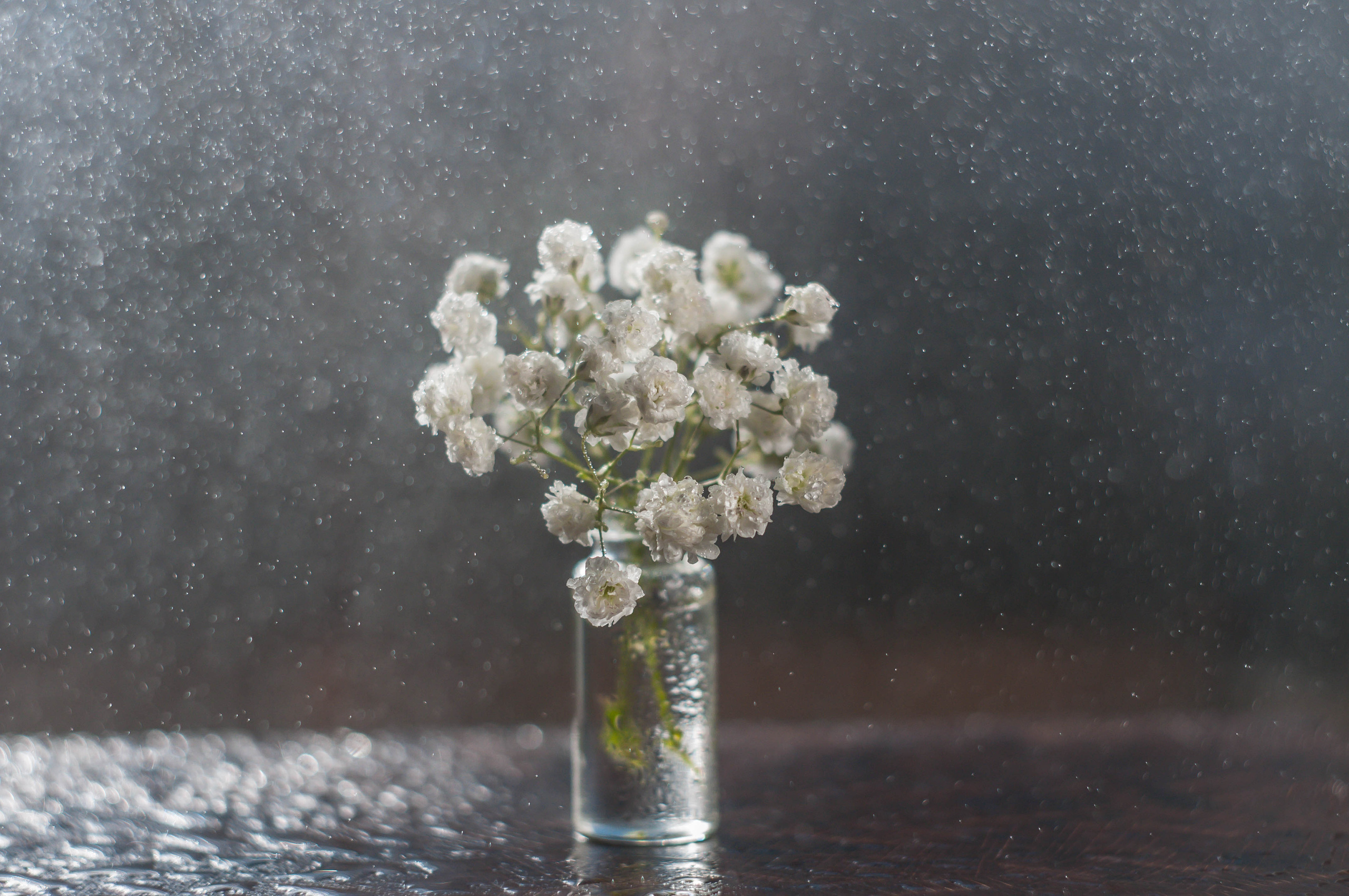 Художественное макро. Мотофотограф в Нижнем Новгороде Динара Зуйкова