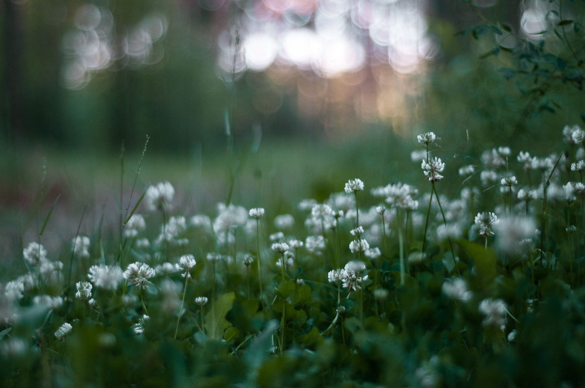 Природа. Мотофотограф в Нижнем Новгороде Динара Зуйкова