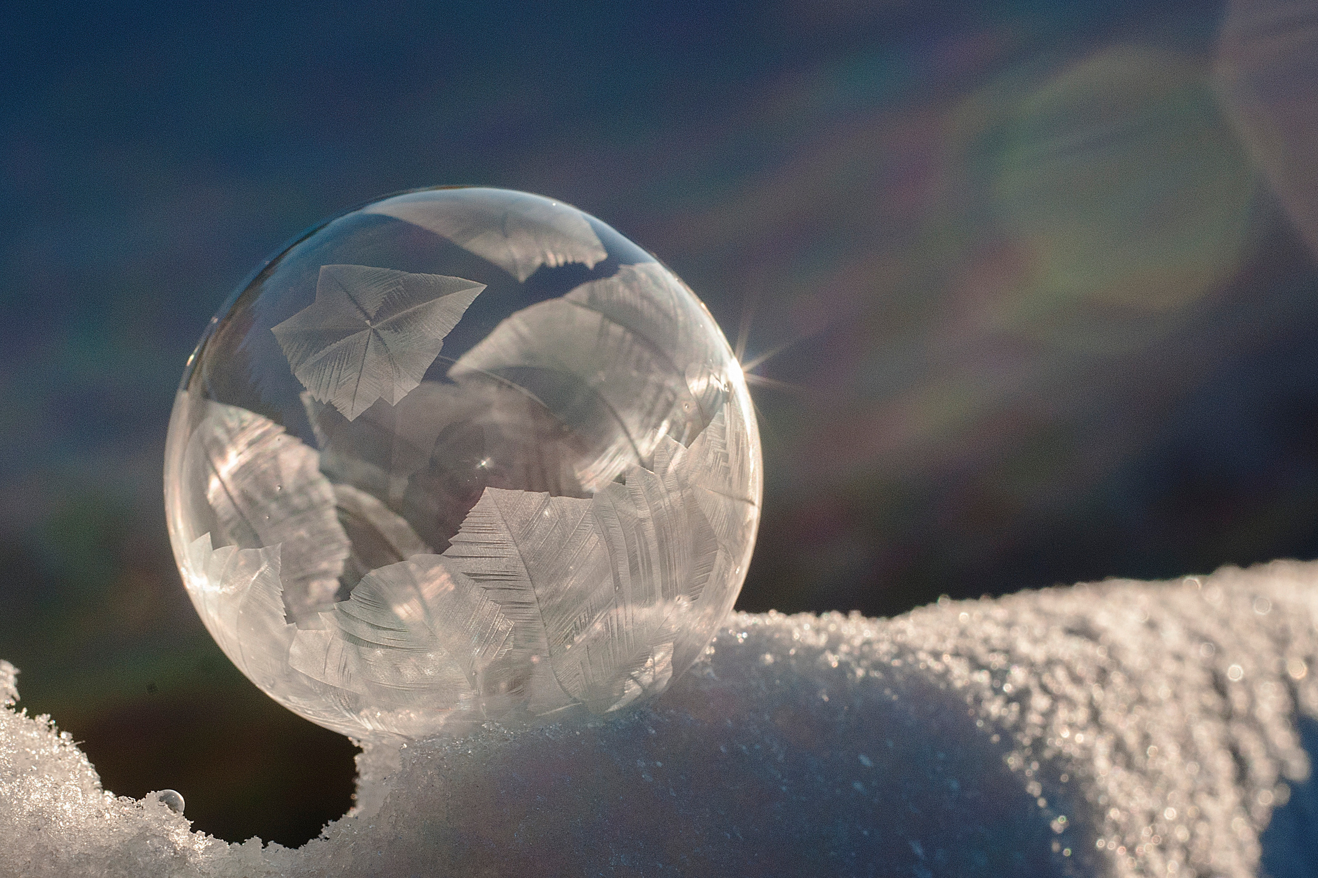 Художественное макро. Мотофотограф в Нижнем Новгороде Динара Зуйкова