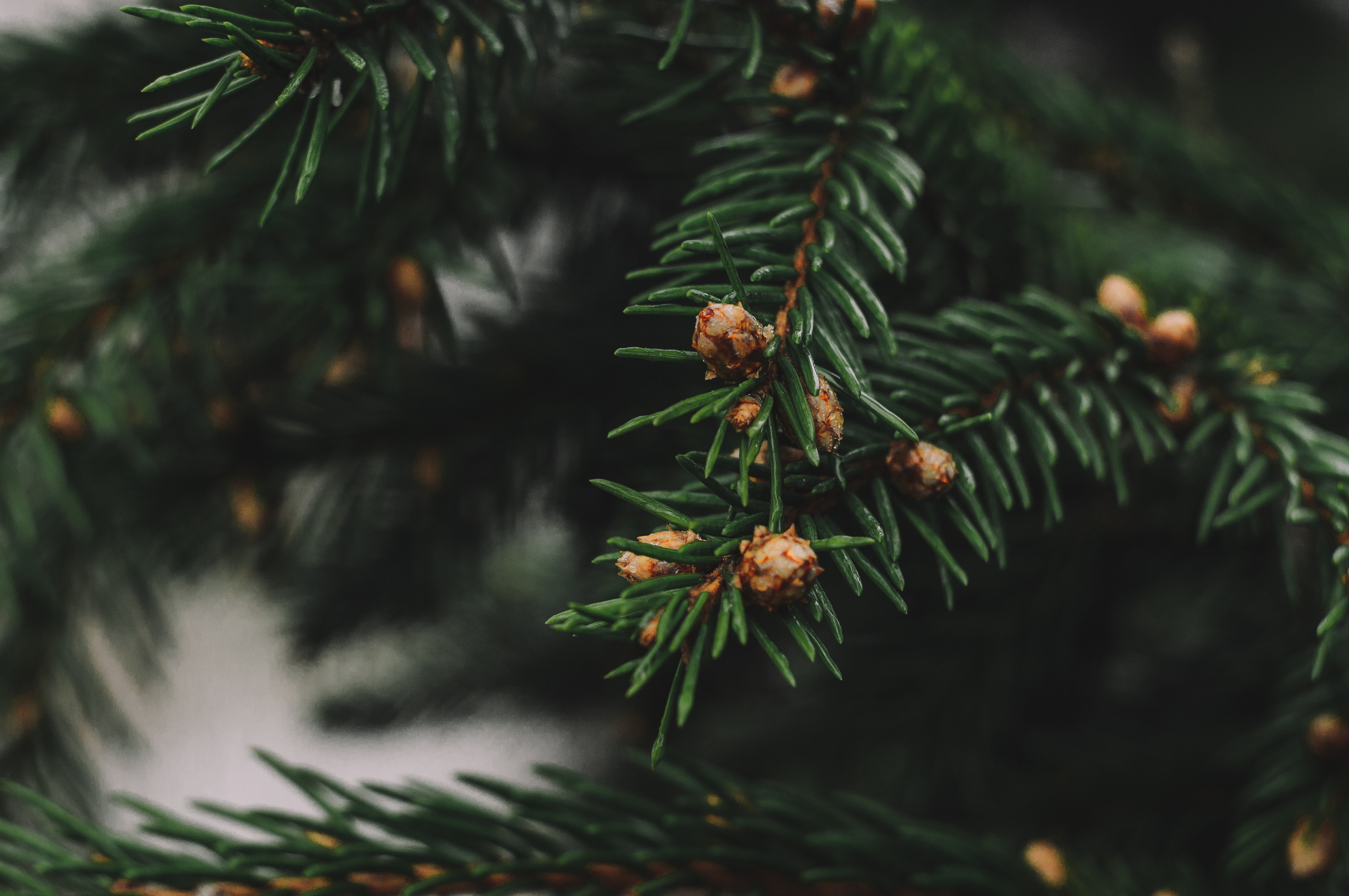 Природа. Мотофотограф в Нижнем Новгороде Динара Зуйкова