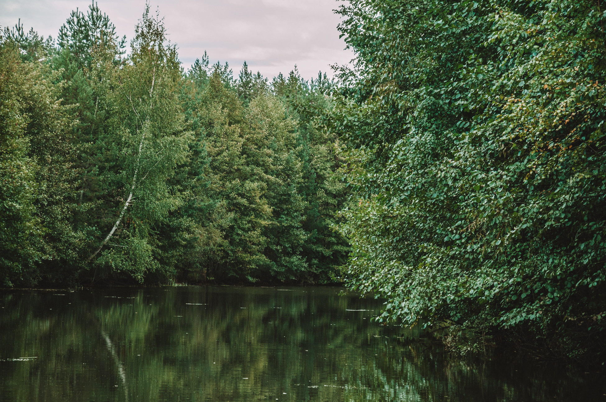 Природа. Мотофотограф в Нижнем Новгороде Динара Зуйкова
