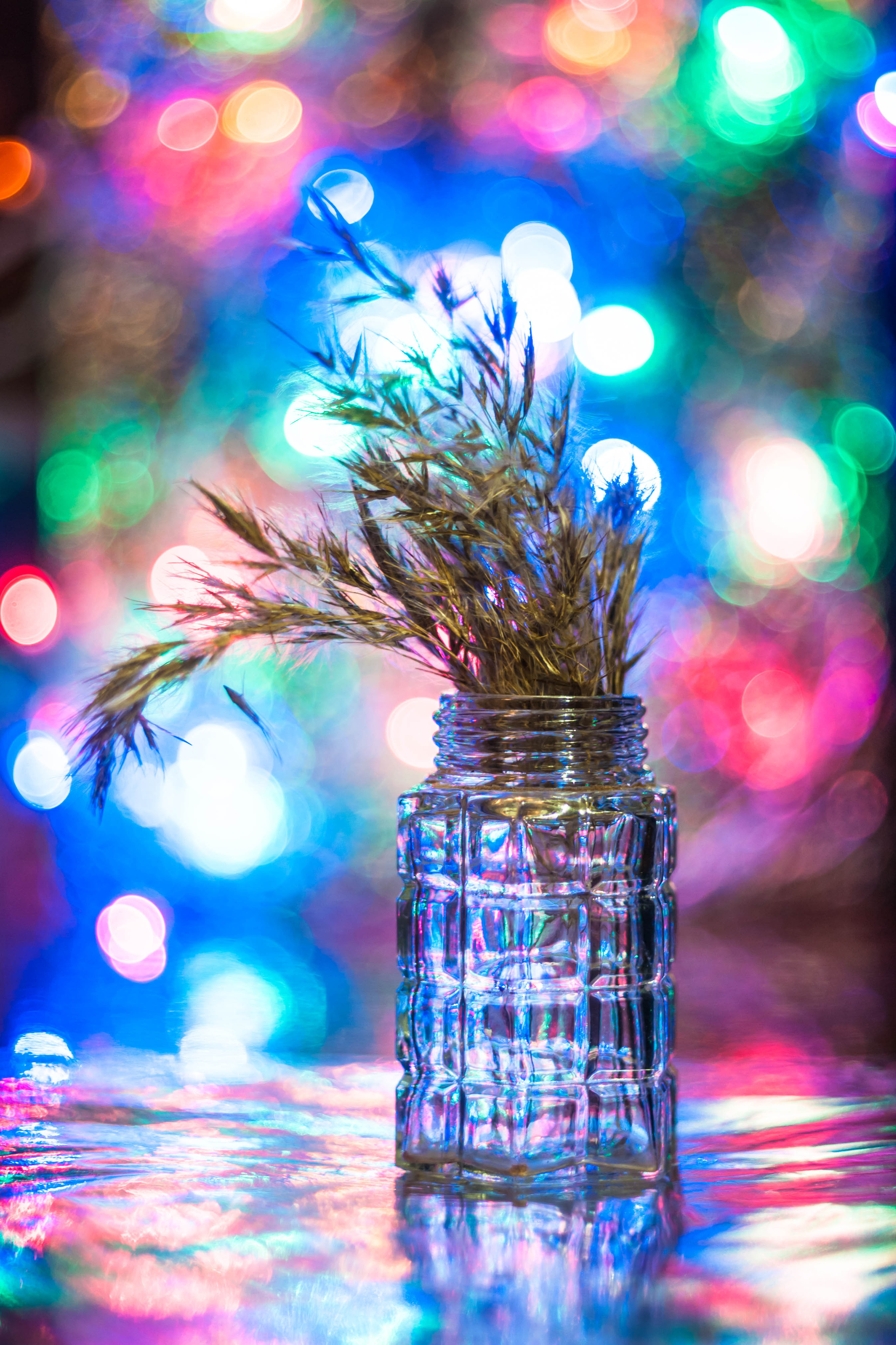 Художественное макро. Мотофотограф в Нижнем Новгороде Динара Зуйкова