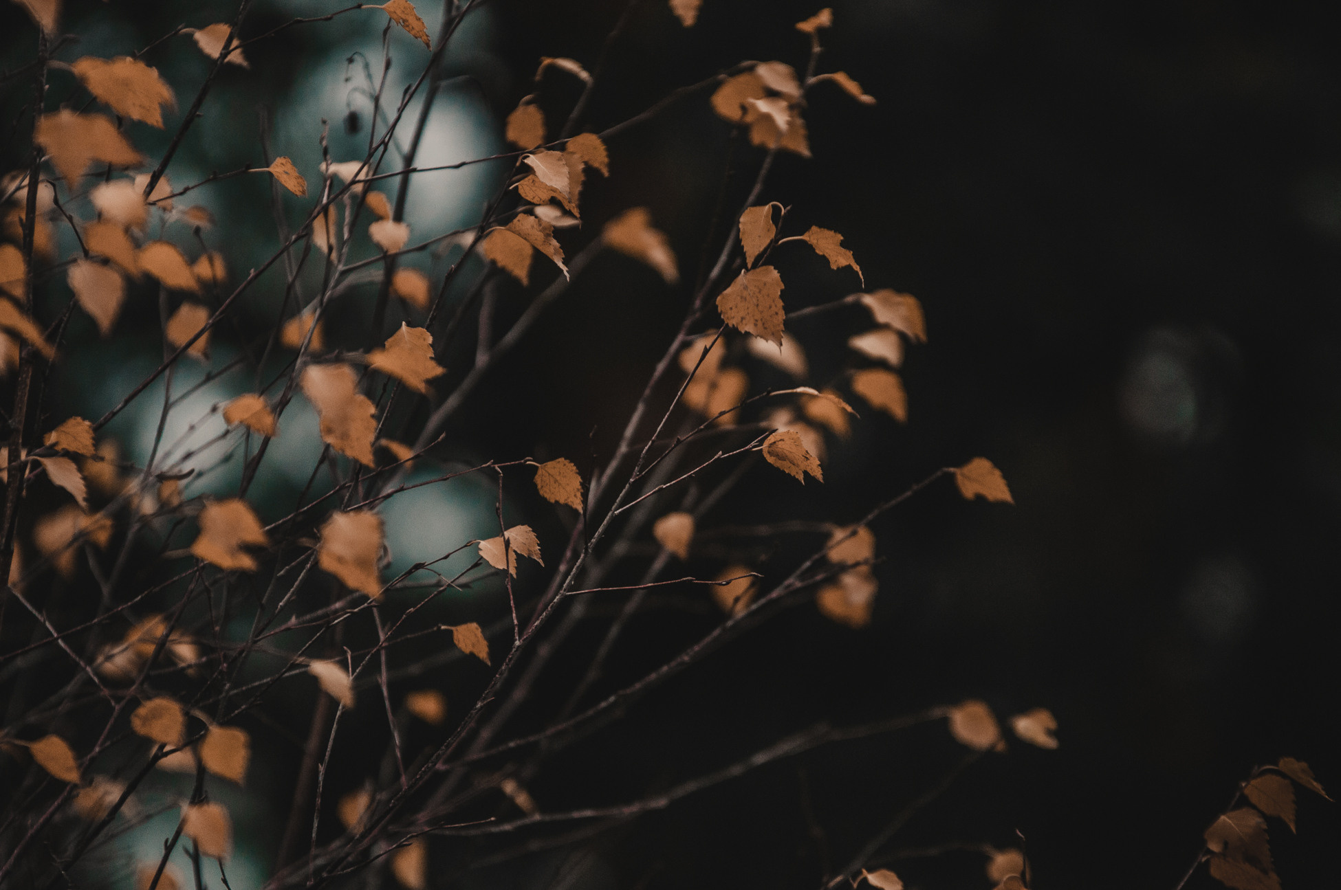 Природа. Мотофотограф в Нижнем Новгороде Динара Зуйкова