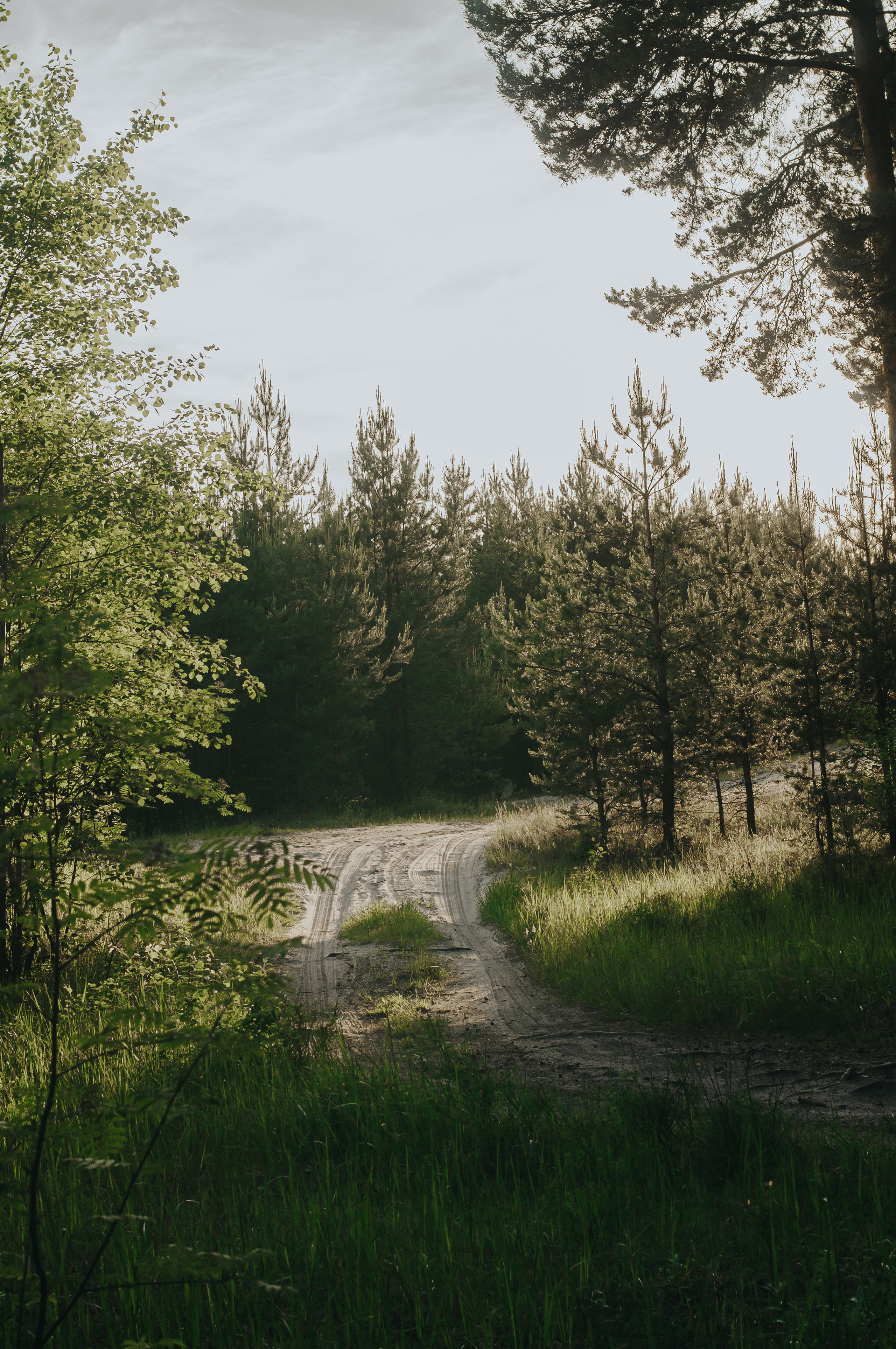 Природа. Мотофотограф в Нижнем Новгороде Динара Зуйкова