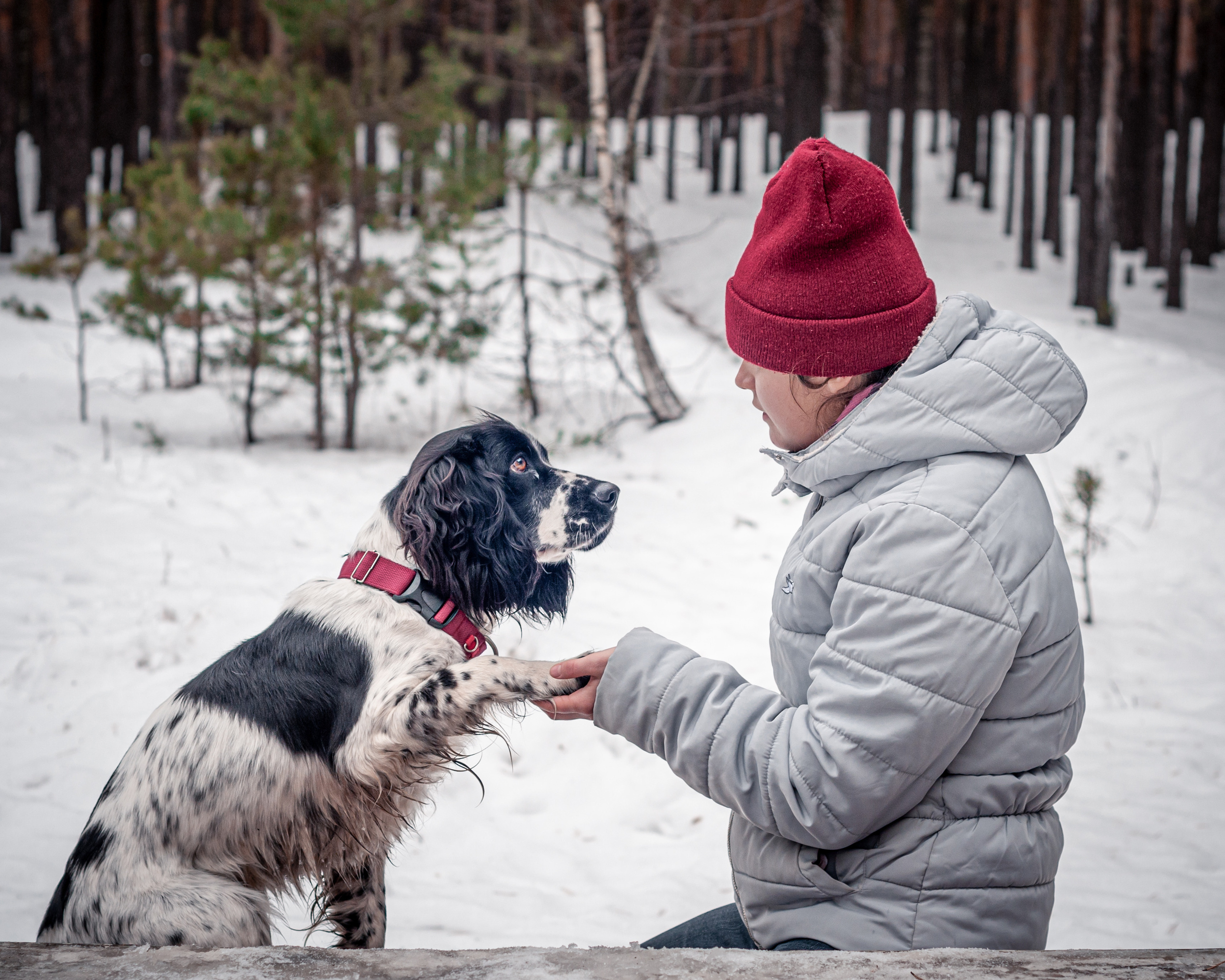 Альма и Даша. Мотофотограф в Нижнем Новгороде Динара Зуйкова