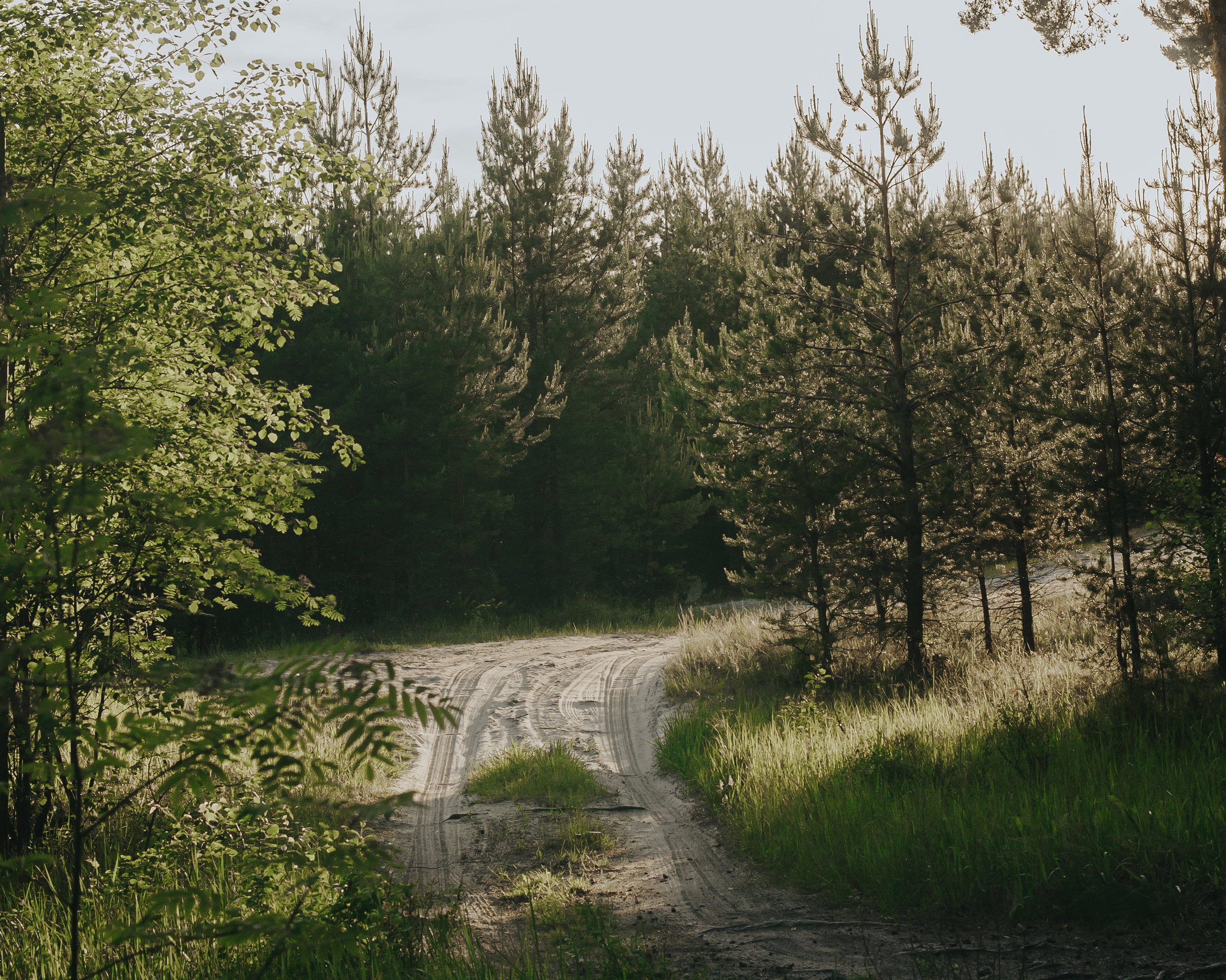 Природа. Мотофотограф в Нижнем Новгороде Динара Зуйкова