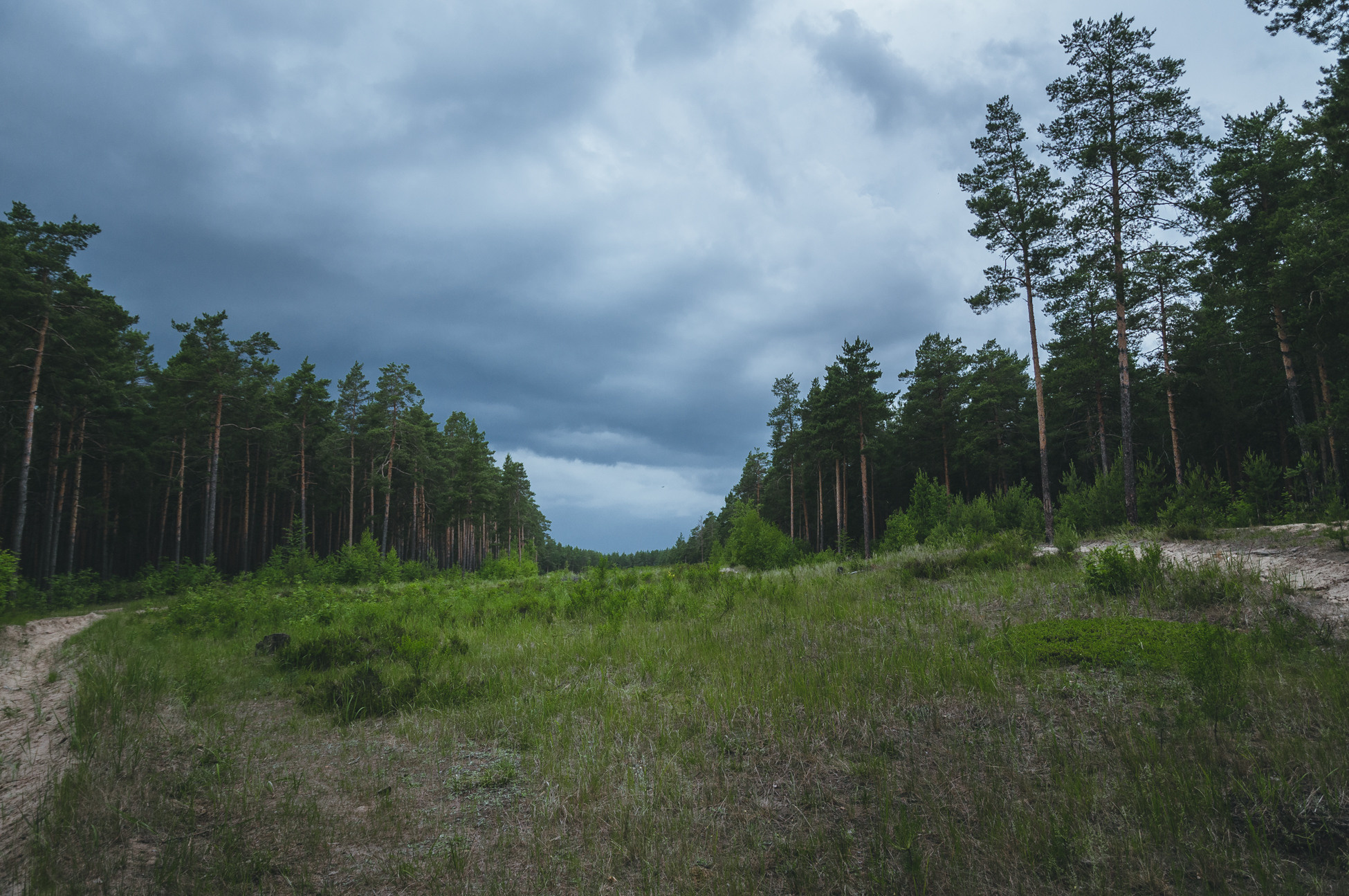 Природа. Мотофотограф в Нижнем Новгороде Динара Зуйкова