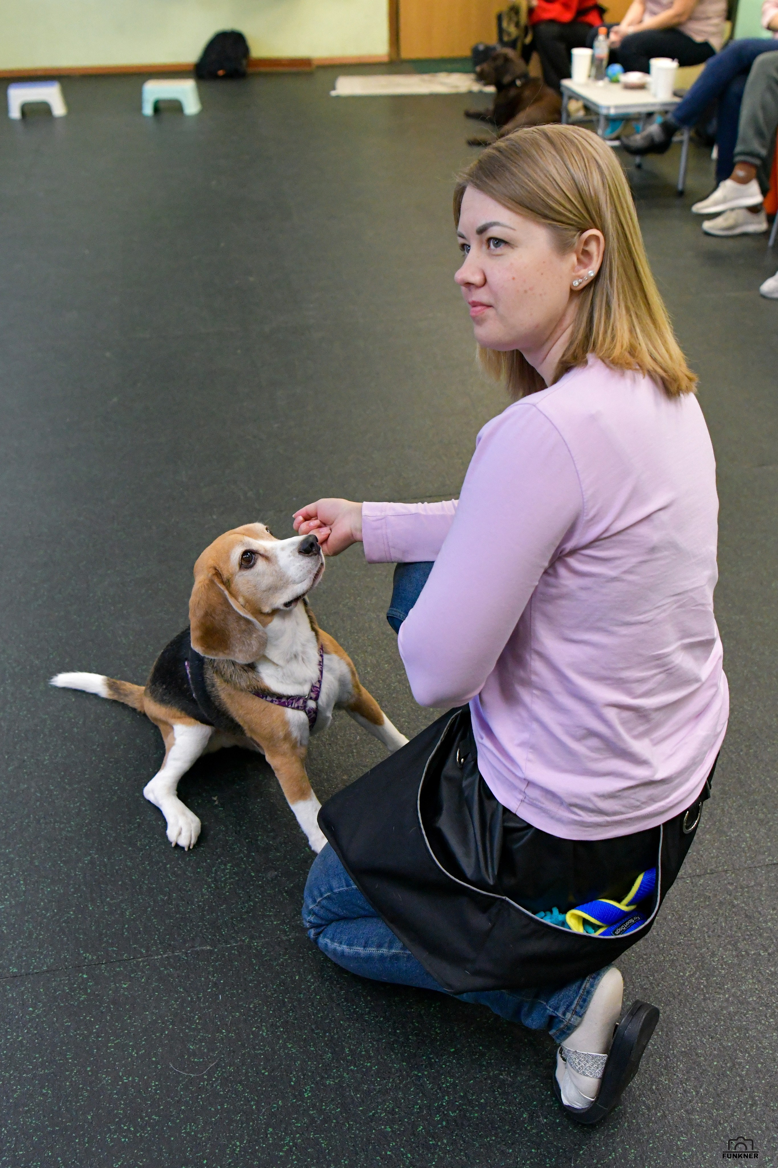 Кинологический клуб «Бодрый хвост». Свой взгляд через объектив