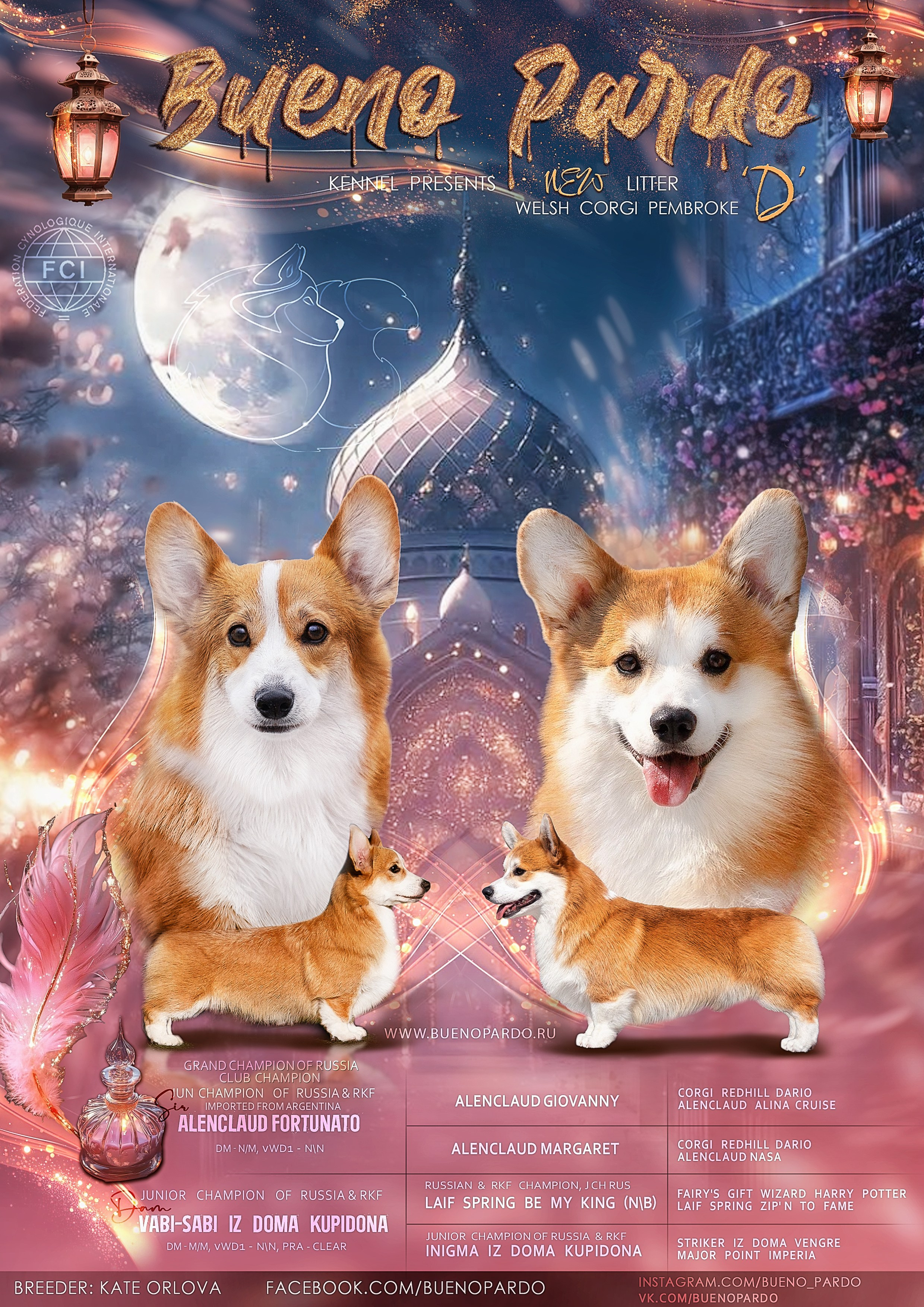 Щенки вельш корги пемброк из питомника. Питомник собак Акита, Хаски, Корги