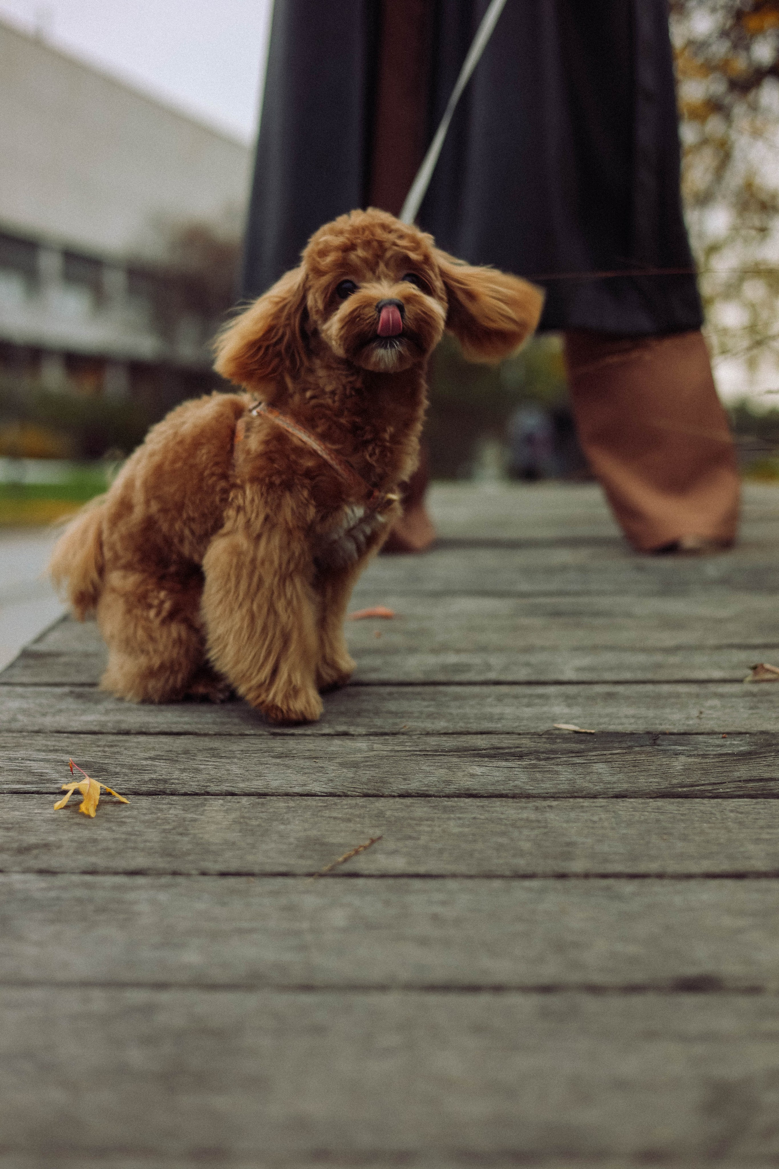 Кира. Фотограф в Москве Анастасия Калинина