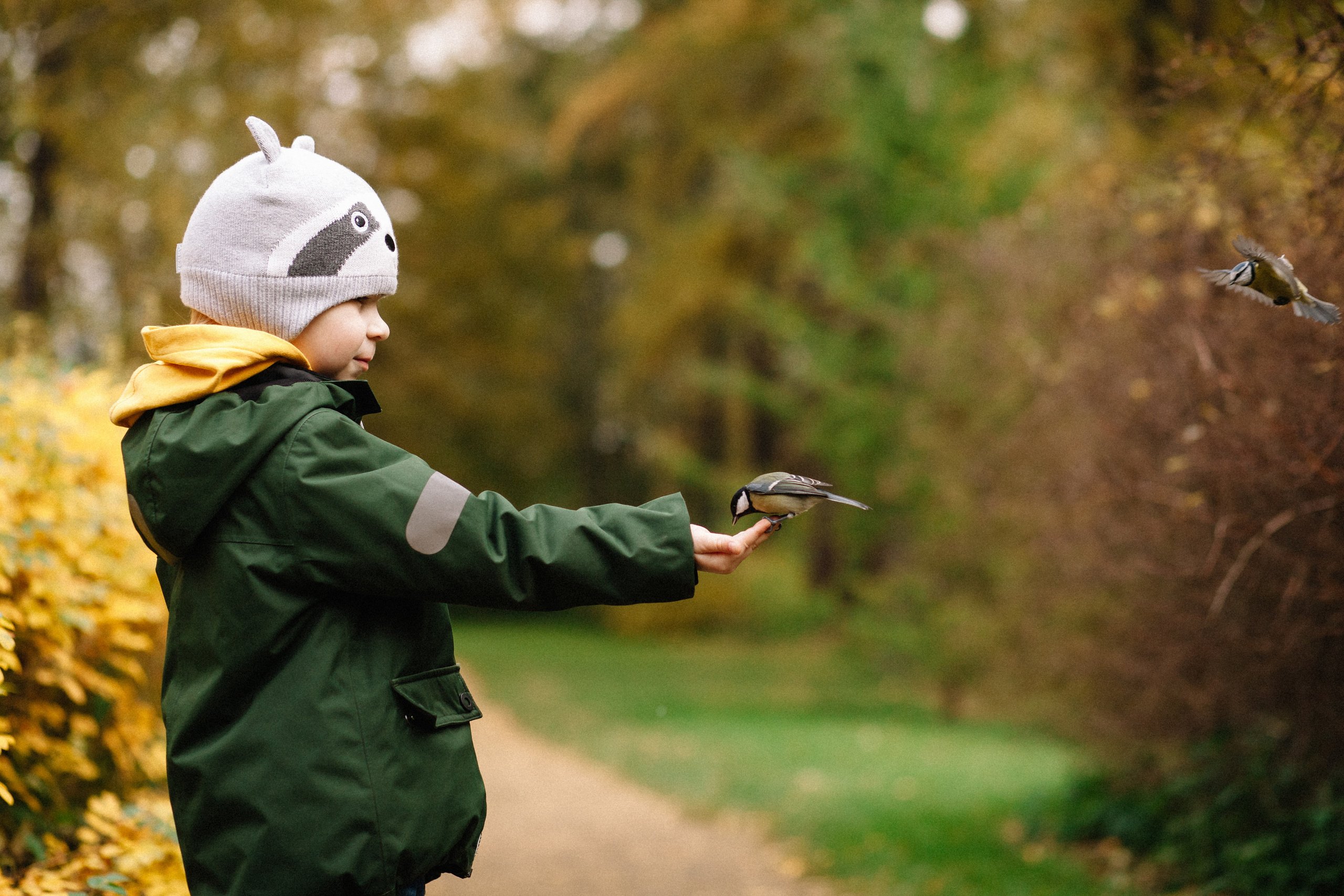 Осенняя семейная фотосессия в ЦПКиО Елагин Остров. Семейный и свадебный фотограф в Майкопе Михаил Мартиросян