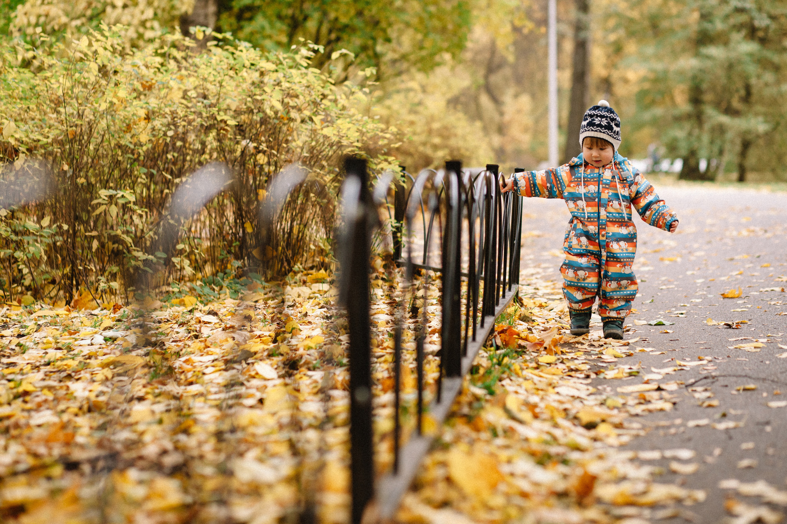 Осенняя семейная фотосессия в ЦПКиО Елагин Остров. Семейный и свадебный фотограф в Майкопе Михаил Мартиросян