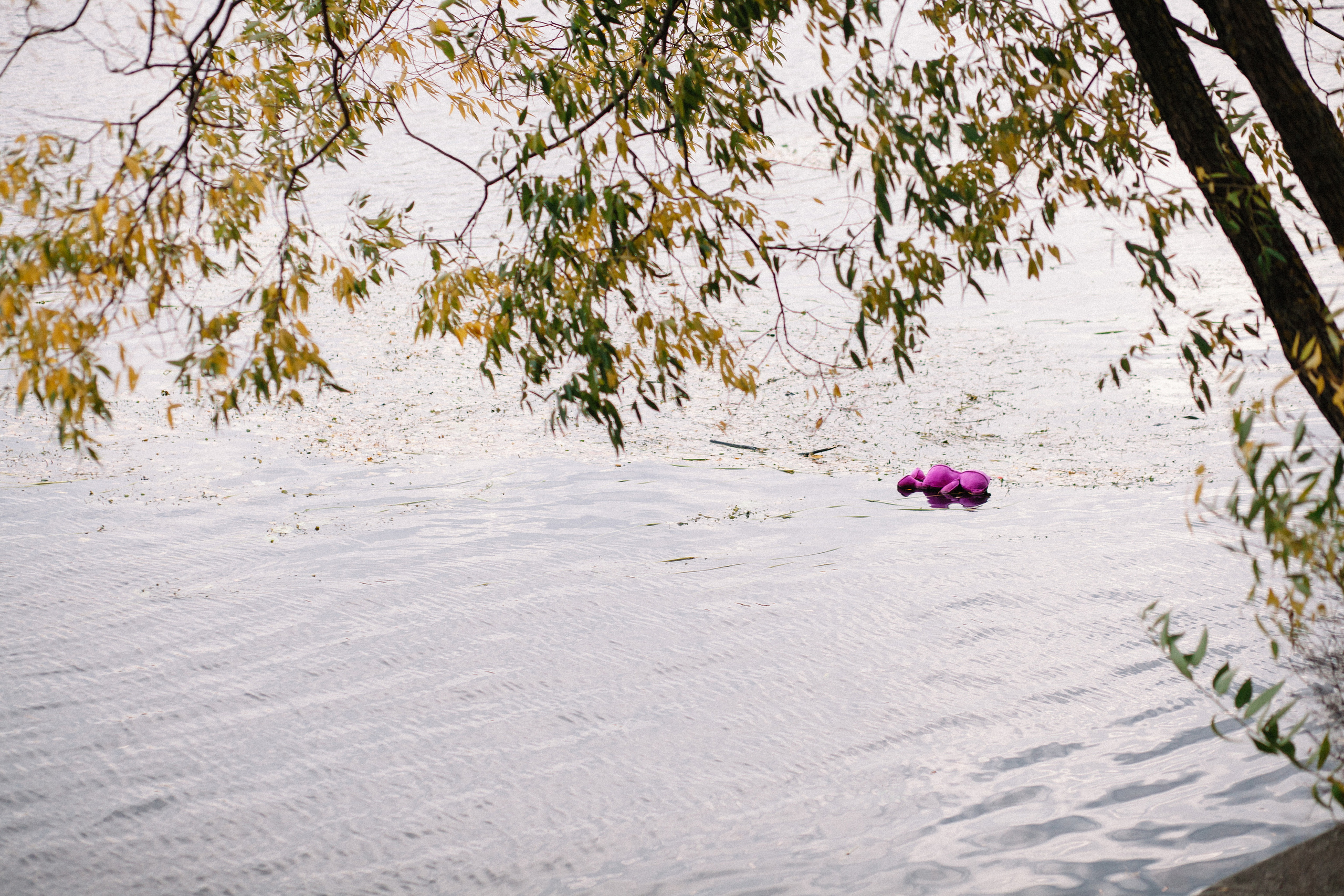 Осенняя семейная фотосессия в ЦПКиО Елагин Остров. Семейный и свадебный фотограф в Майкопе Михаил Мартиросян