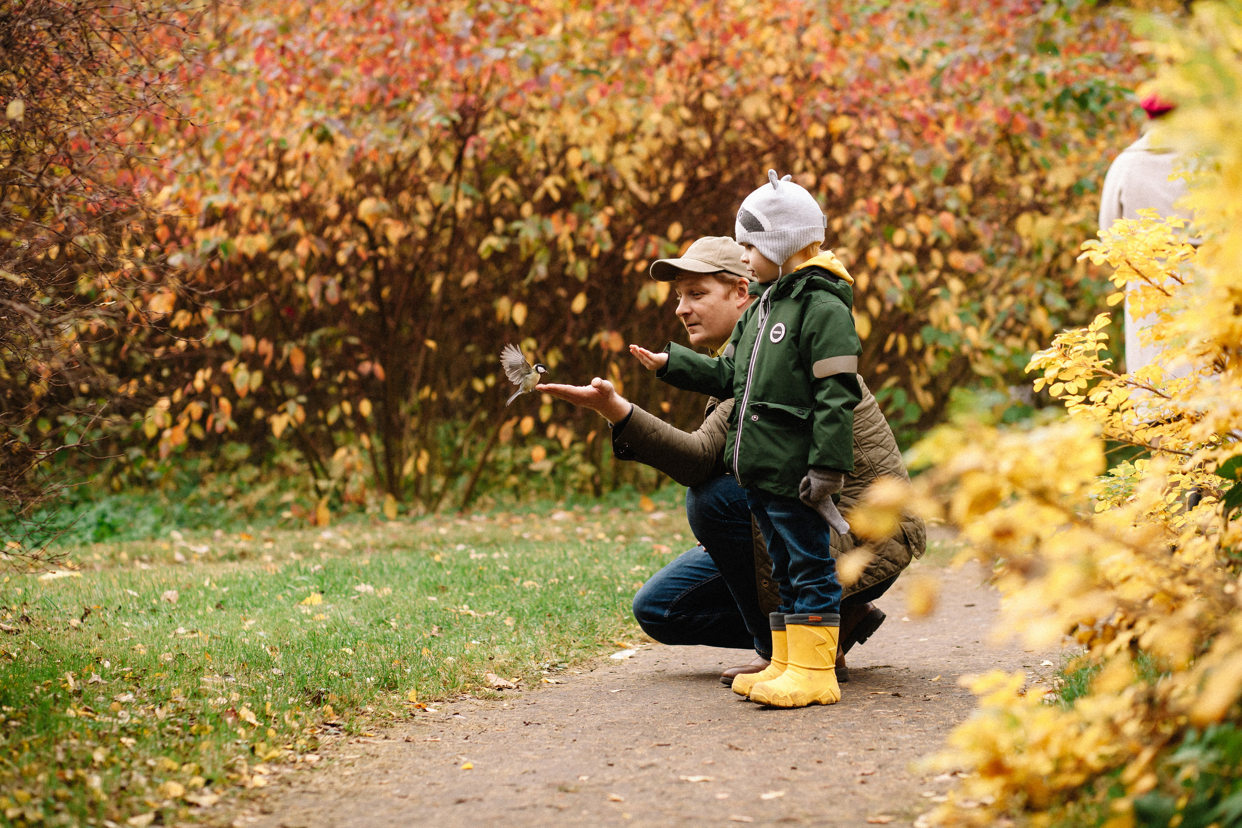Осенняя семейная фотосессия в ЦПКиО Елагин Остров. Семейный и свадебный фотограф в Майкопе Михаил Мартиросян