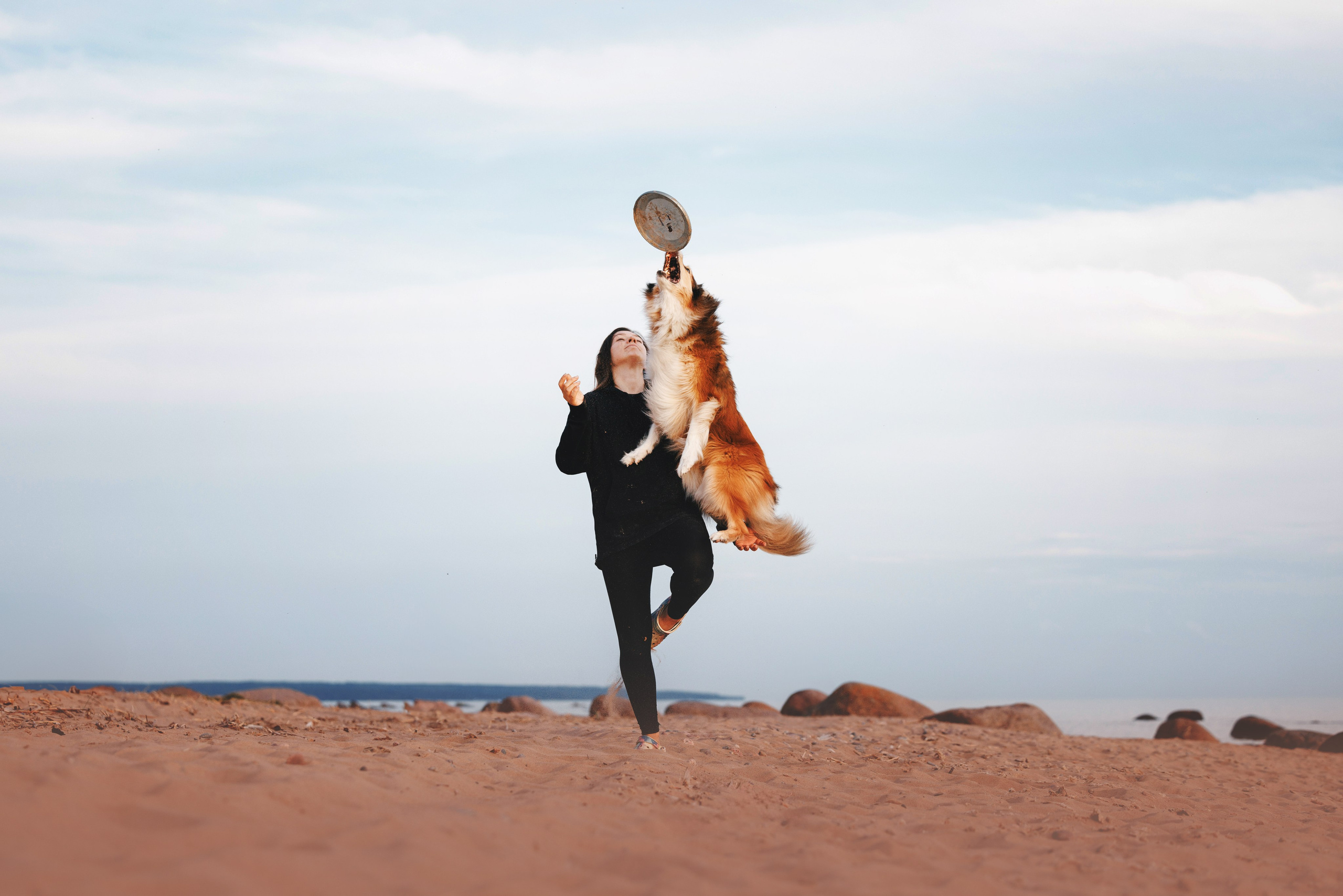 Рита, Маша и много собак. Фотограф анималист Осипчикова Мария
