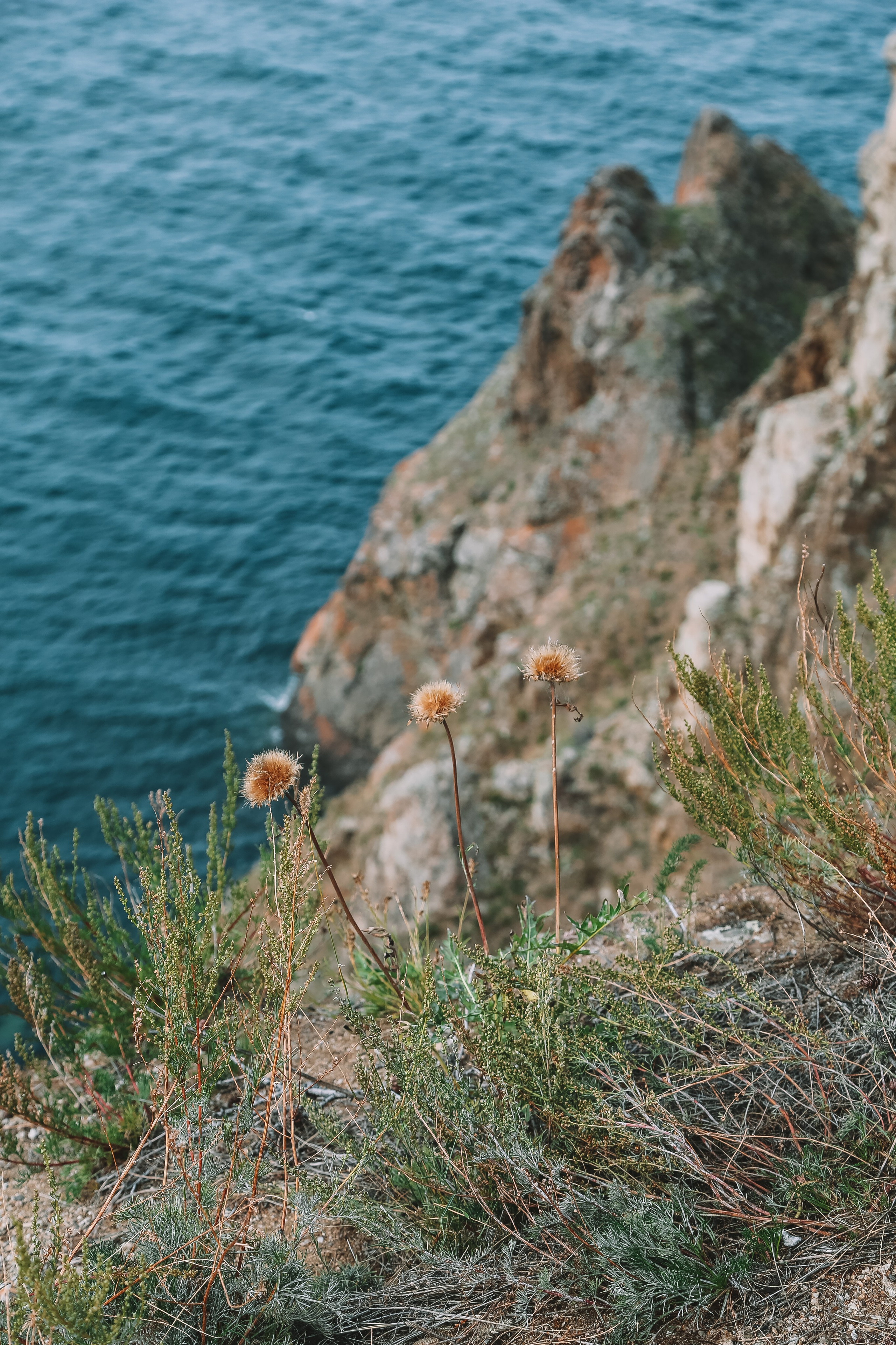 Байкал летний: легенды и святыни. Дарья Письменюк / Darya Leitstern — фотограф, музыкант, журналист, путешественник