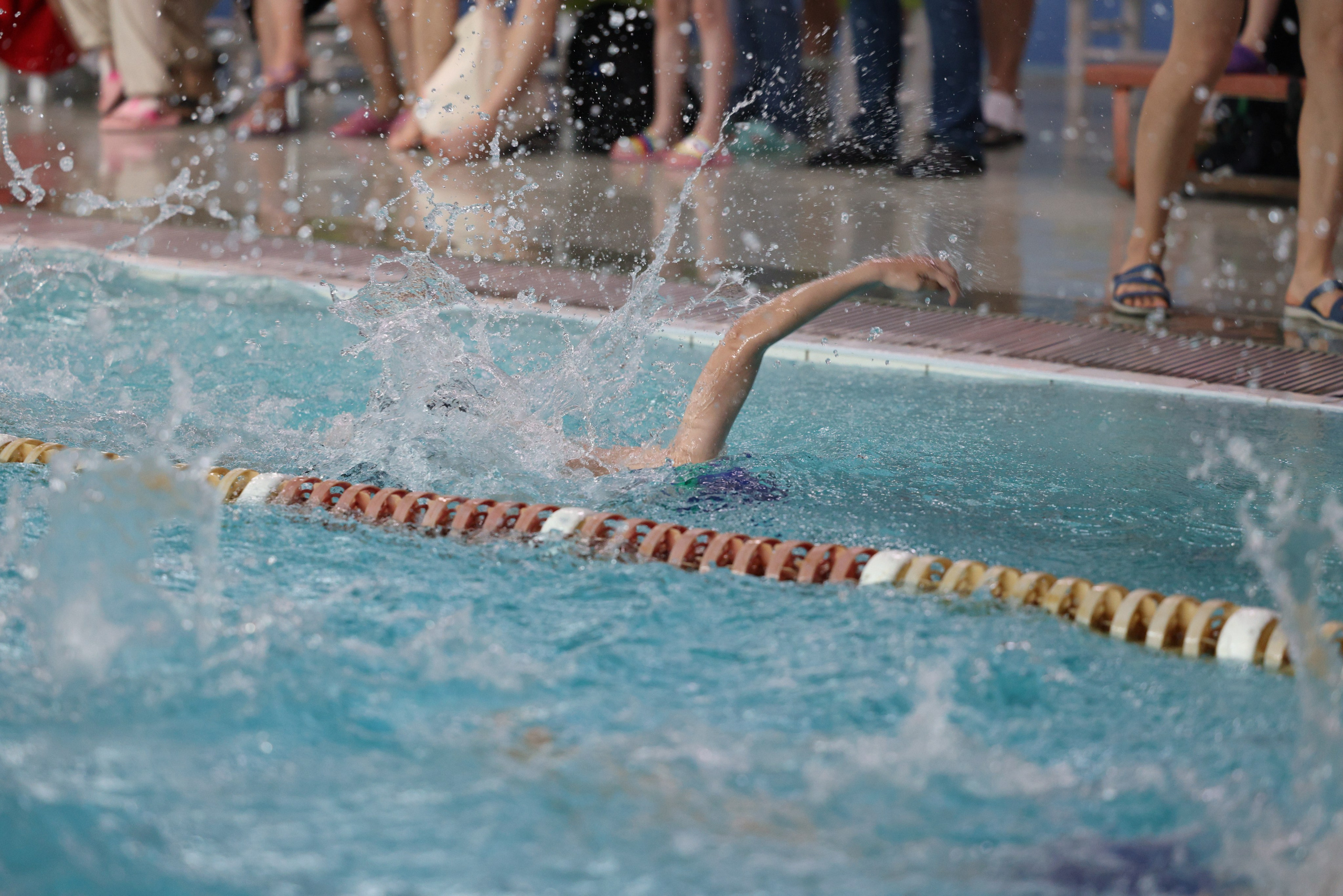 Веселый дельфин. Плавание. Дети 8-9 лет. Фотограф Александр Заломаев