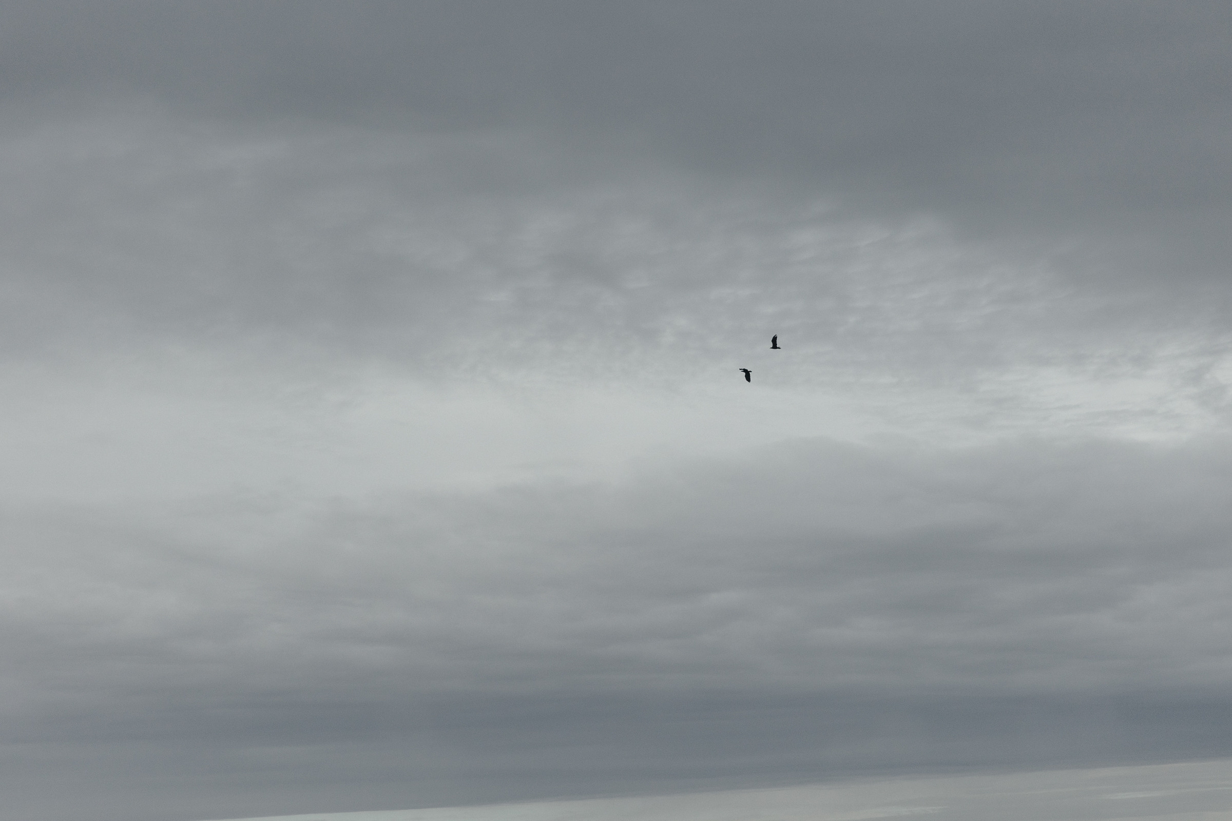 Кама. Свадебный фотограф в Ульяновске Алексей Китов