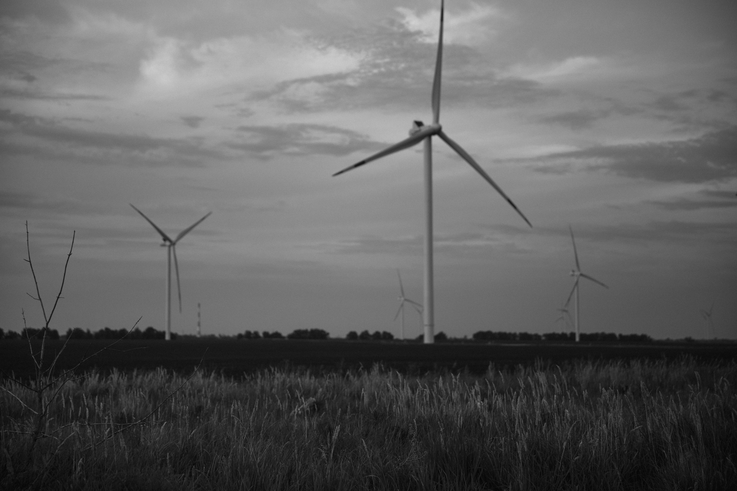 Art Haus. Свадебный фотограф в Ульяновске Алексей Китов