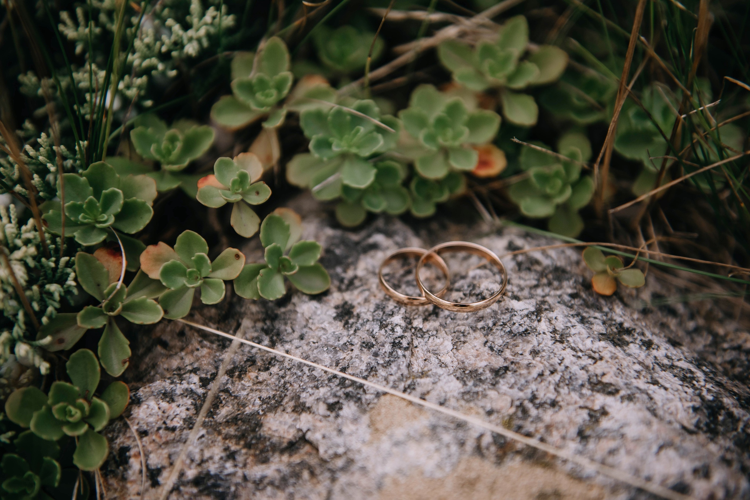 Артём и Даша. Свадебный фотограф Марина Жемчужникова в Москве и в Белгороде