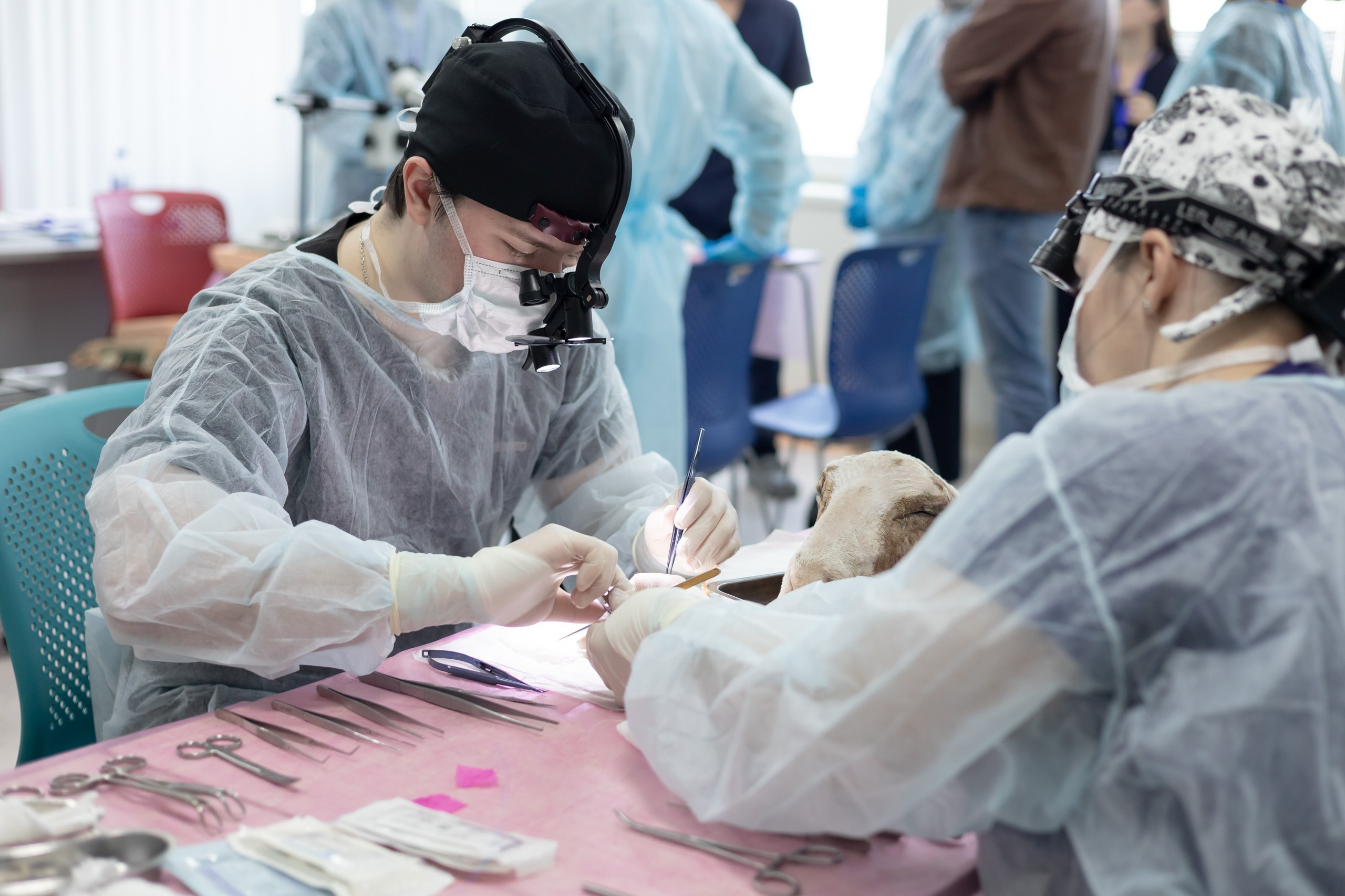 III Дальневосточная региональная олимпиада по детской хирургии. Главная