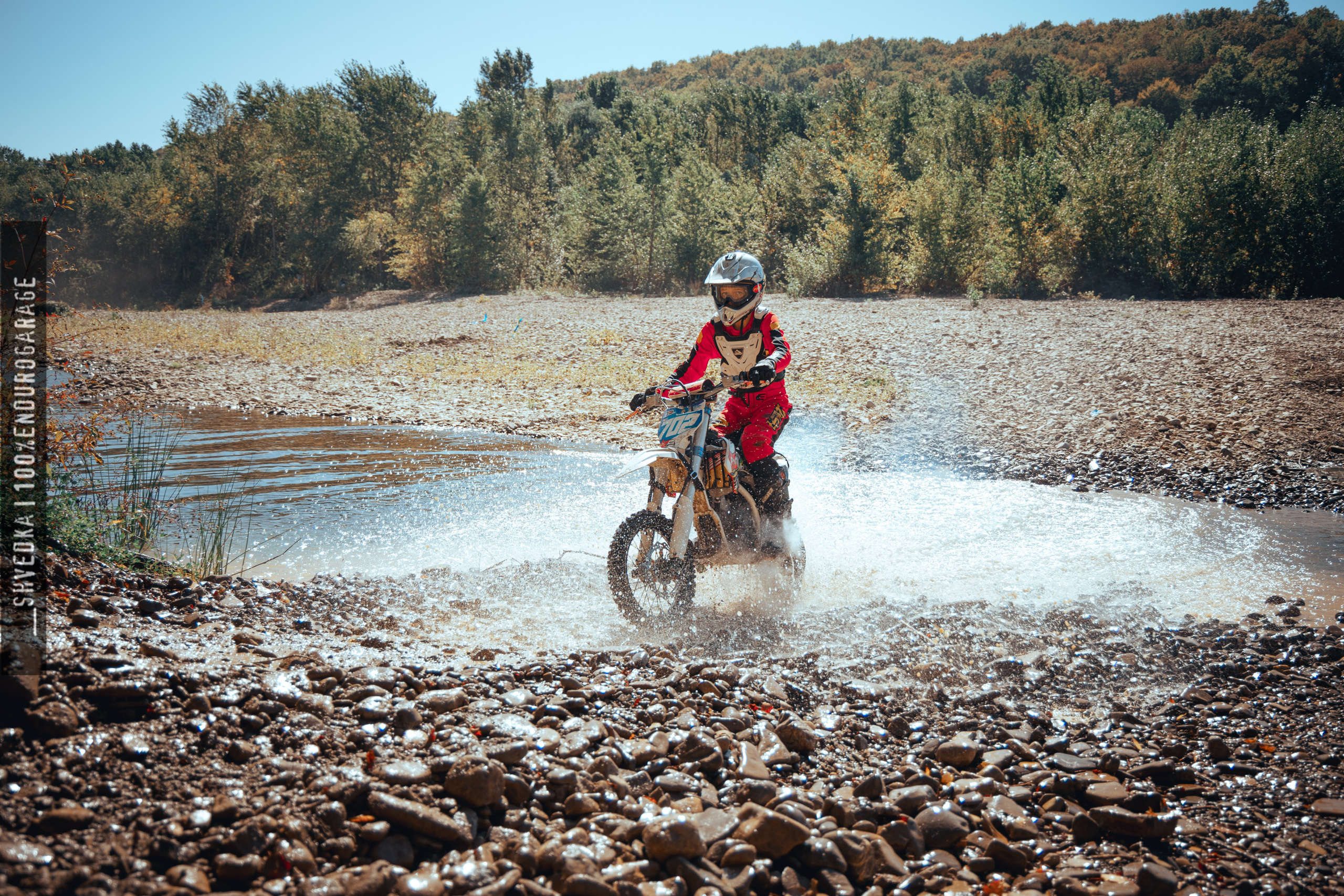 1 лесной день. Ваш экстрим фотограф Кудрева Яна