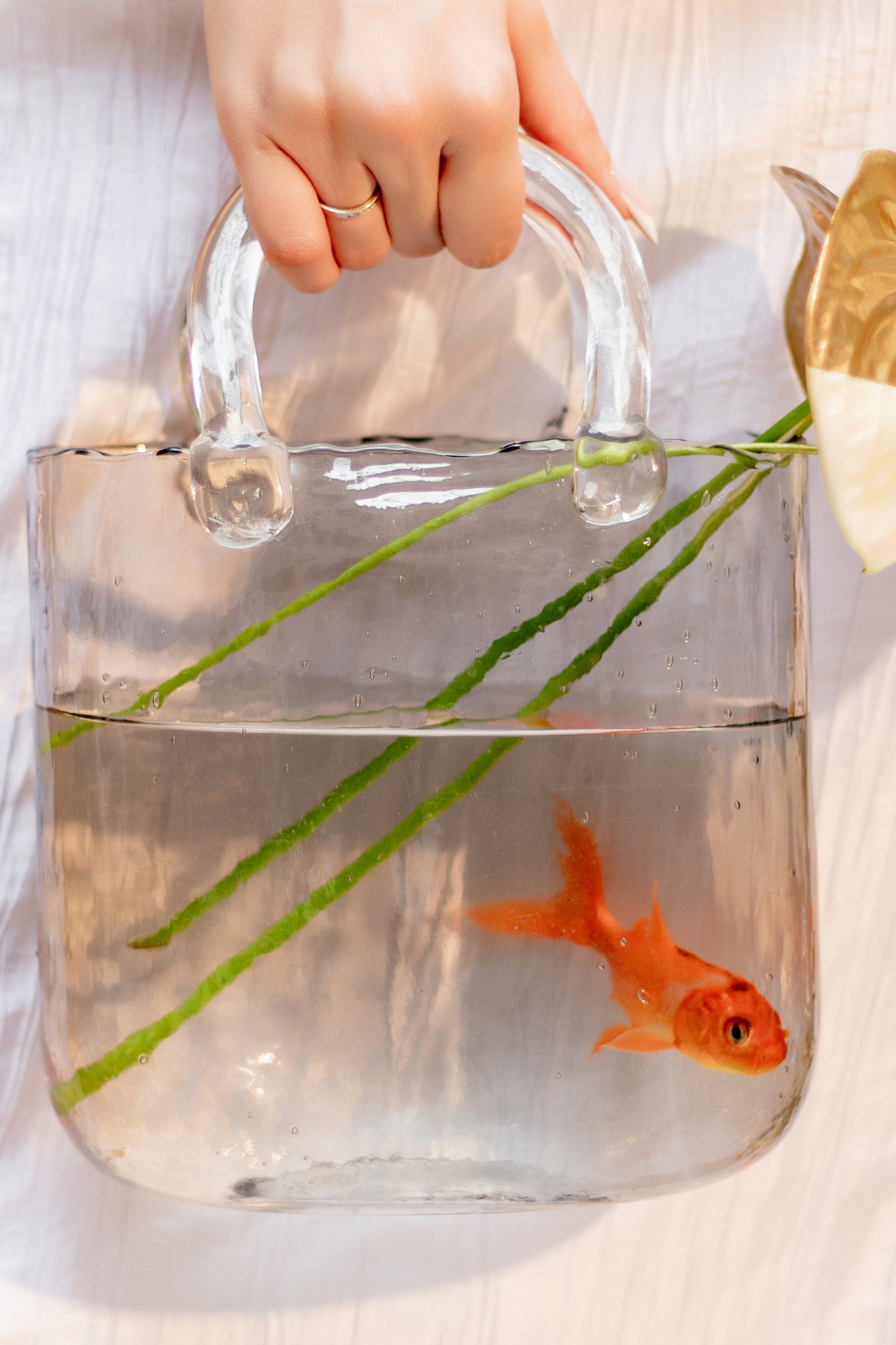 Дороже золота…. СВАДЕБНЫЙ ФОТОГРАФ В КРЫМУ И СЕВАСТОПОЛЕ