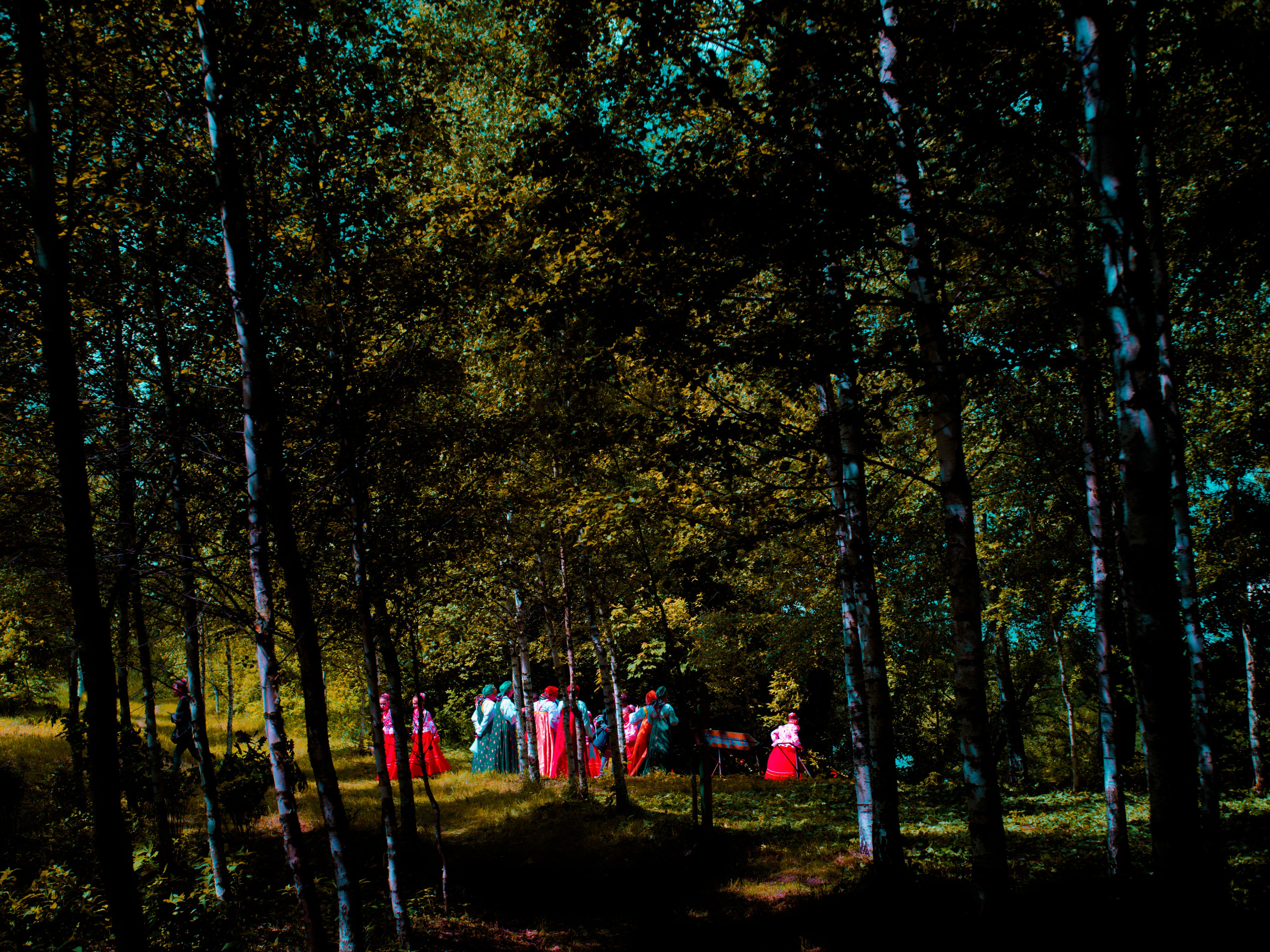 ИВН промежуточных состояний (2026 — в прогрессе). Roman Hodirev is an esoteriologist, multidisciplinary artist, photographer and musician. Saint Petersburg, Riga