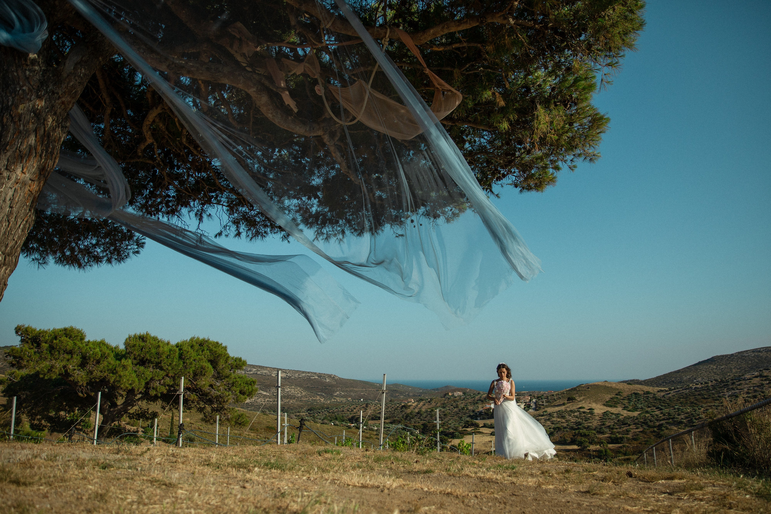 Максим & Ксения. Агентство по организации мероприятий
