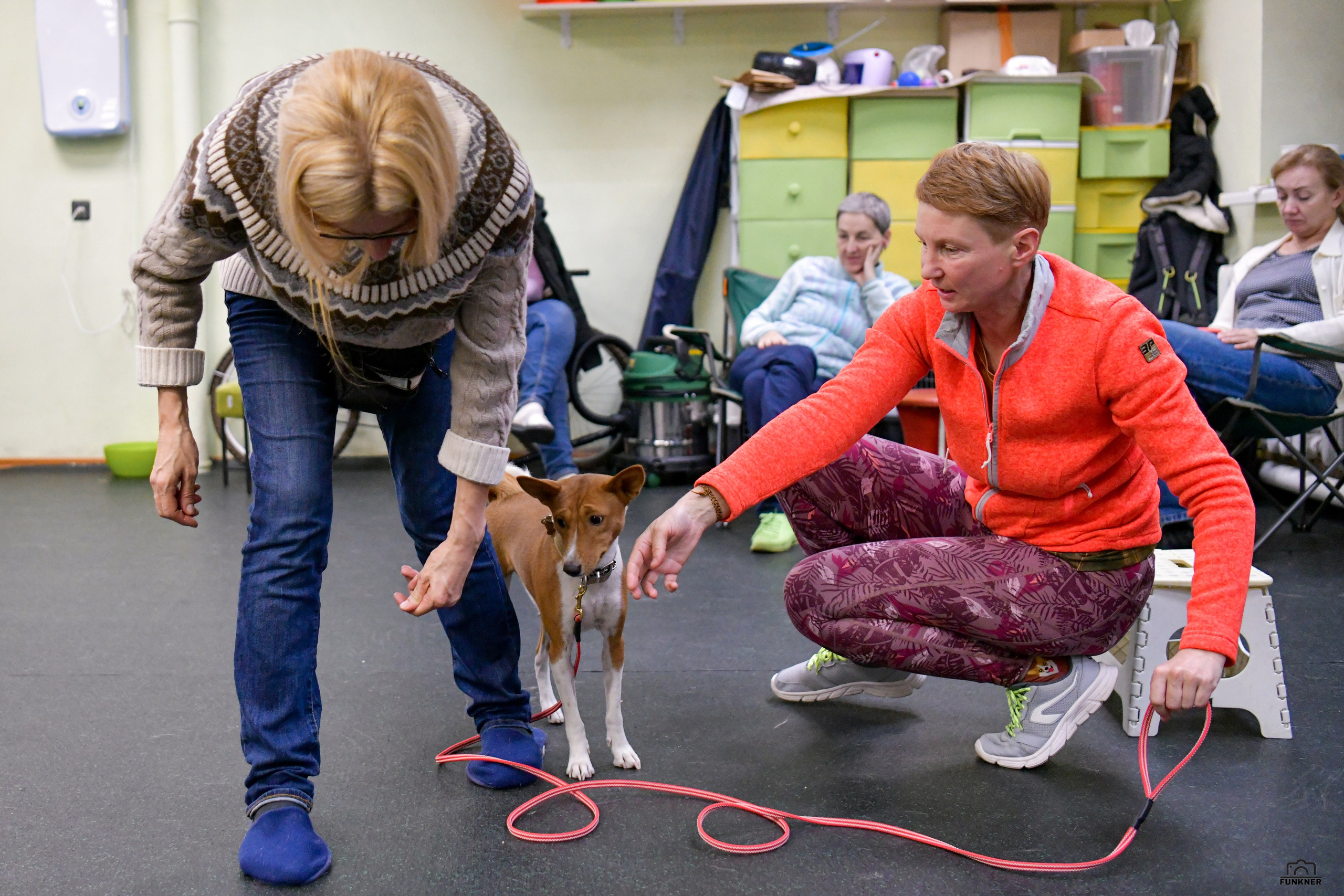 Кинологический клуб «Бодрый хвост». Свой взгляд через объектив
