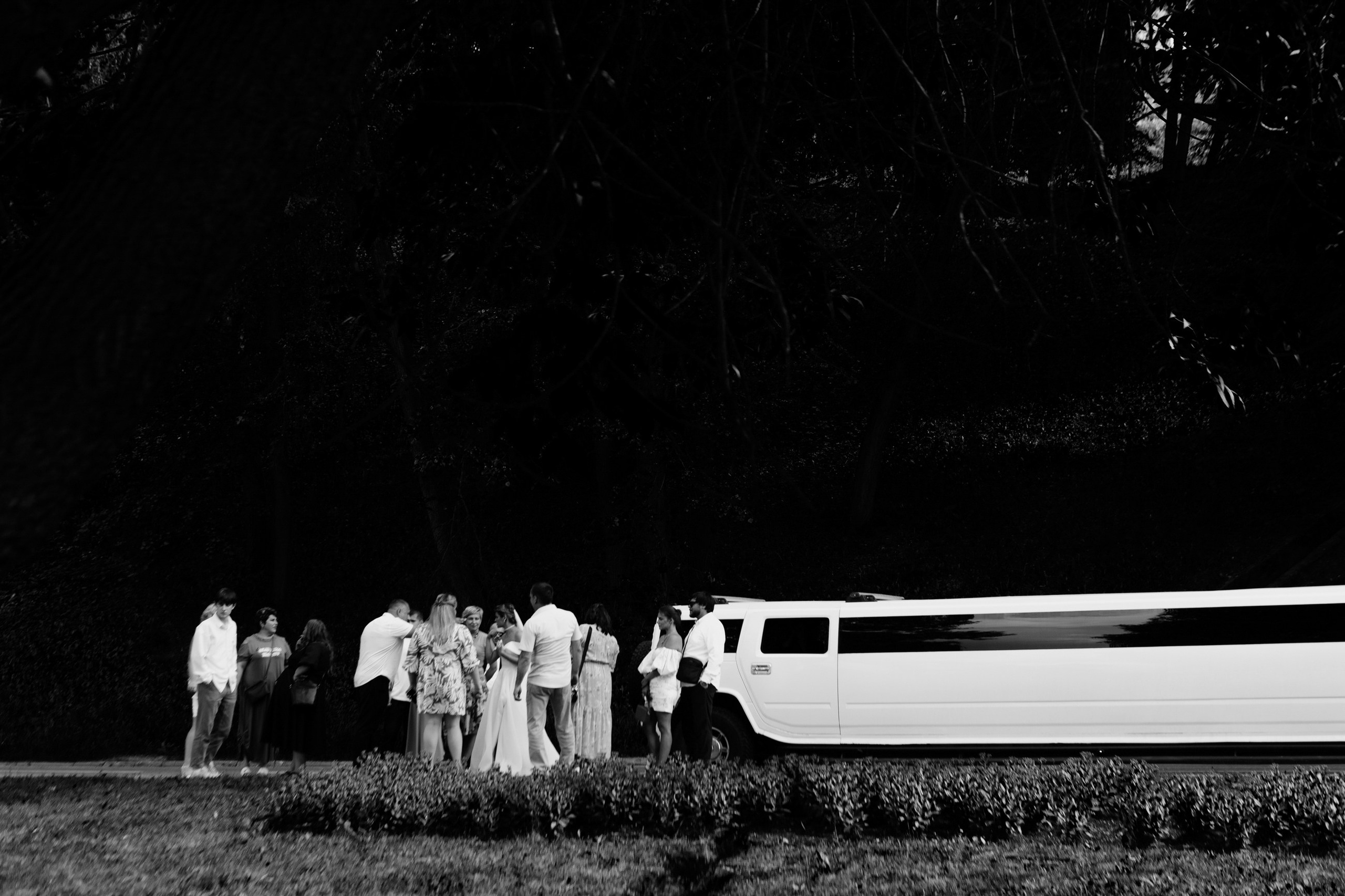 Дмитрий и Светлана. LEVORIGINAL