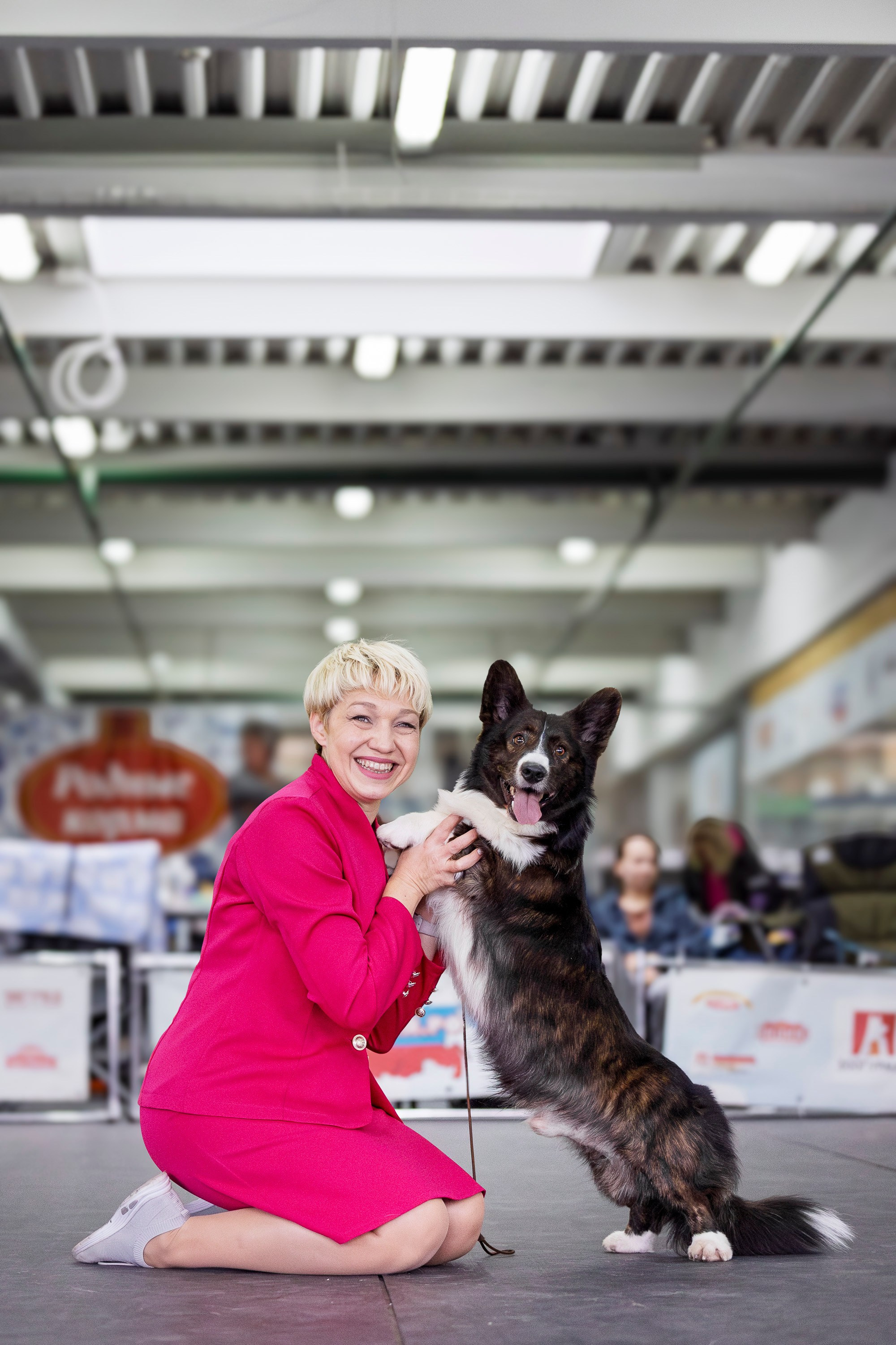 Националка ВКК 2024. Фотограф анималист, семейный фотограф, фотограф собак Комратова Мария. г. Москва