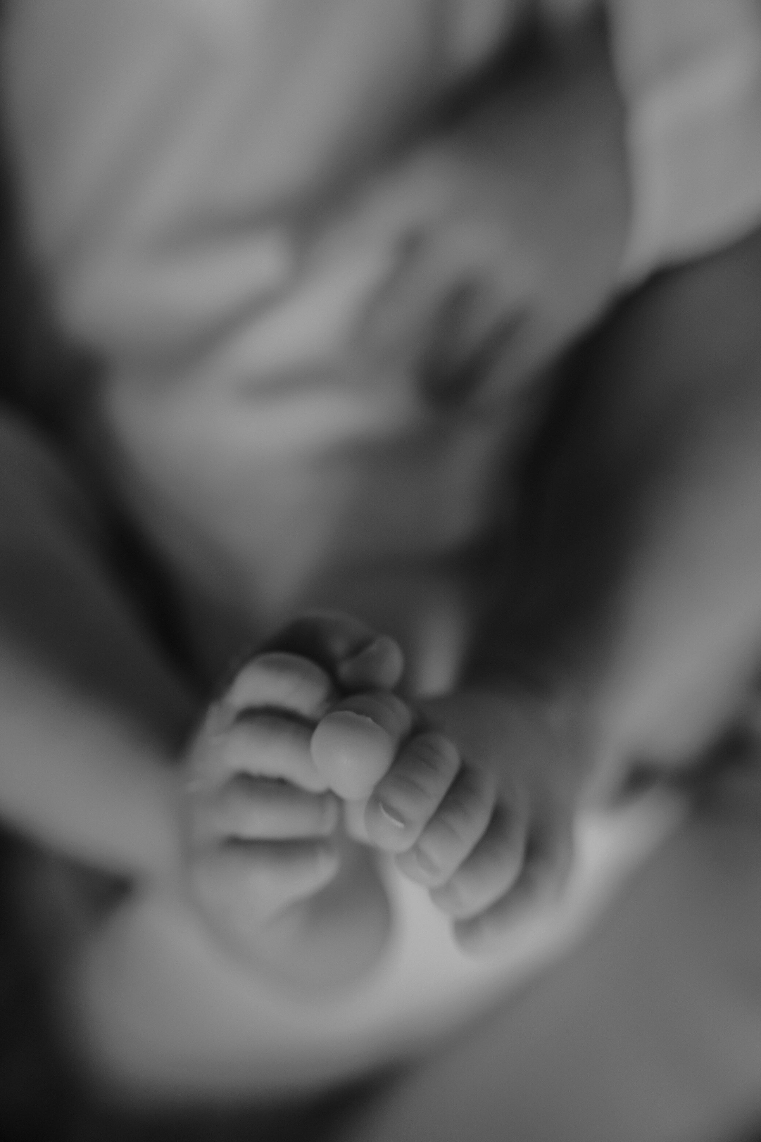 Настя Руслан София Ратмир. Фотограф новорожденных