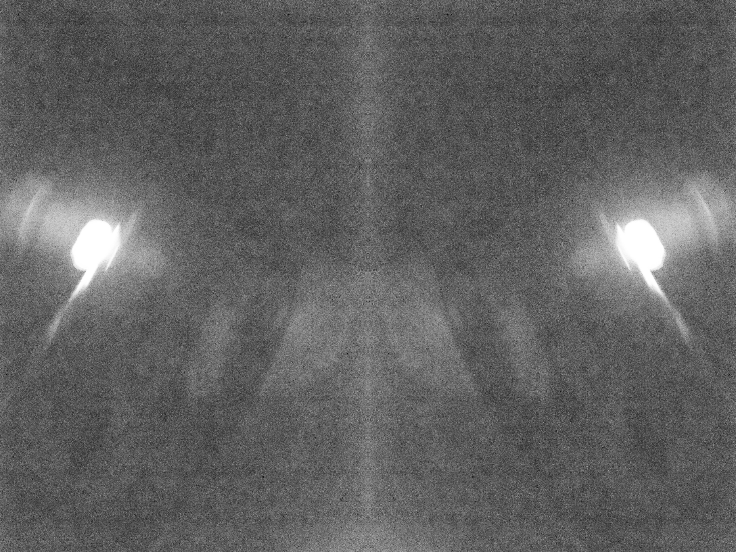 Urban flowers. Арт — фотограф Евгений Наймушин Новокузнецк