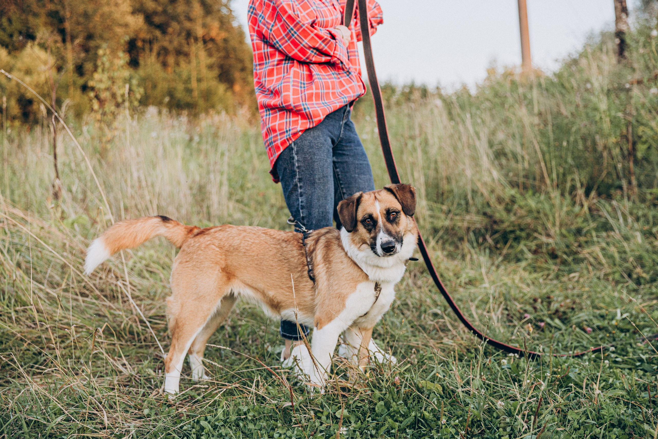 Ляля. Фотограф-анималист в Москве Соломонова Варвара